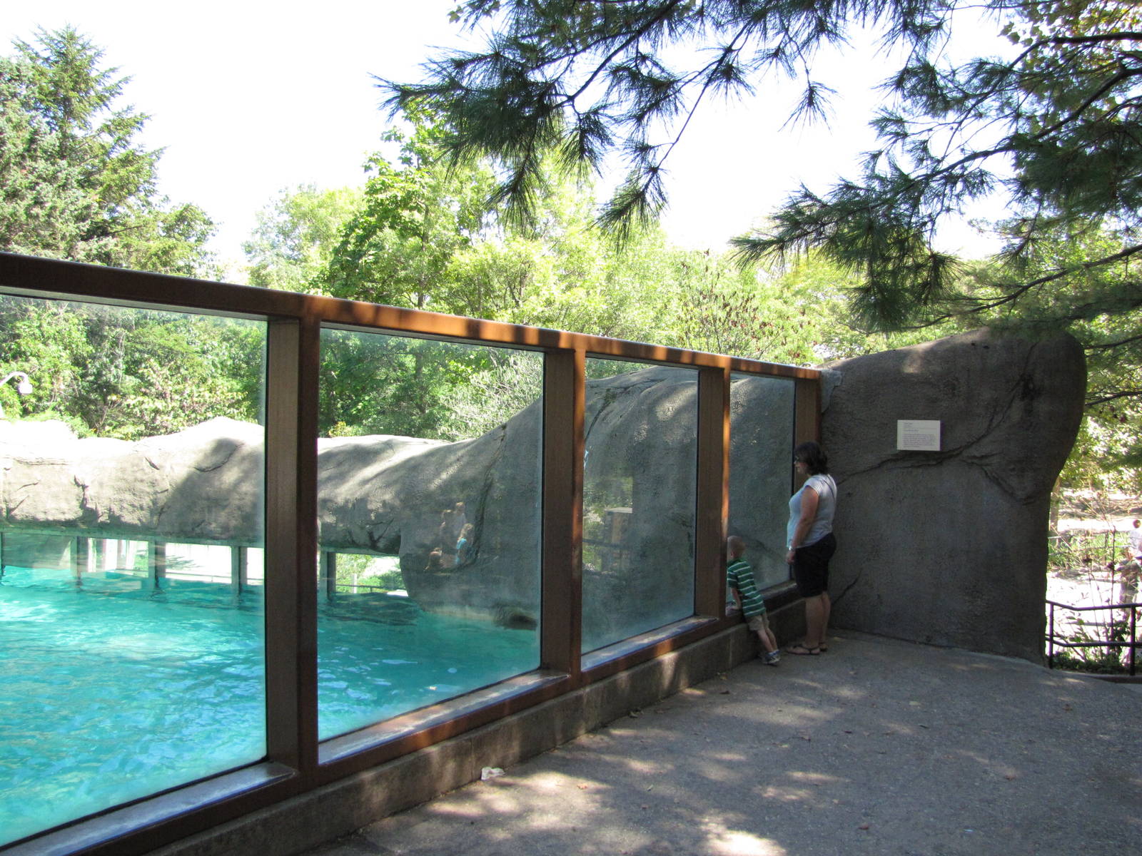 Philadelphia Zoo 2010 - Polar Bear viewing window on upper level