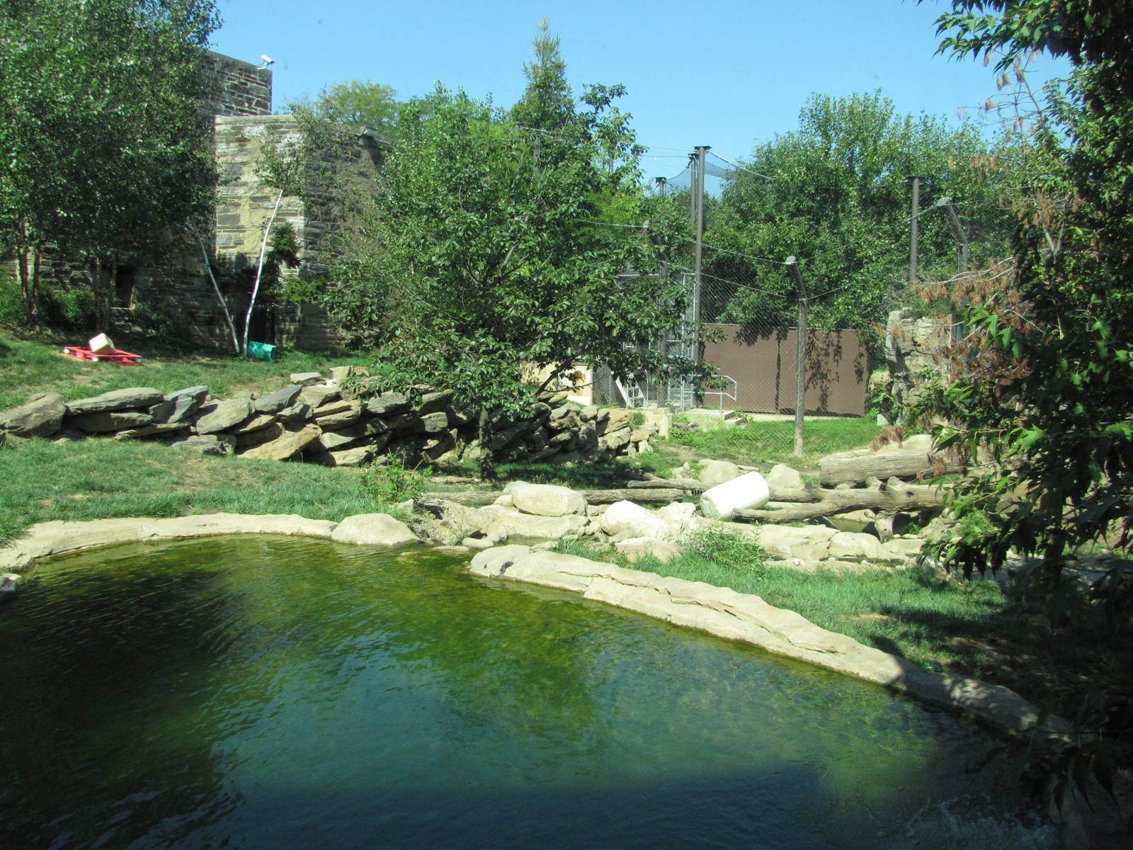 Philadelphia Zoo 2010 - Second part of Amur Tiger exhibit in Big Cat Falls