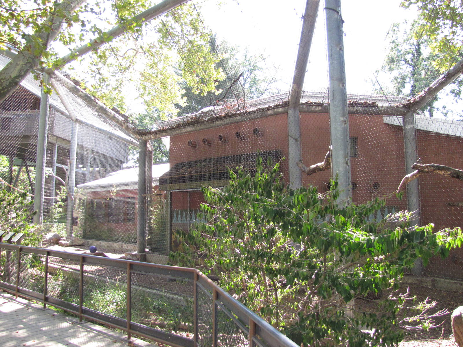 Philadelphia Zoo 2010 - Second part of Black and White Colobus enclosure