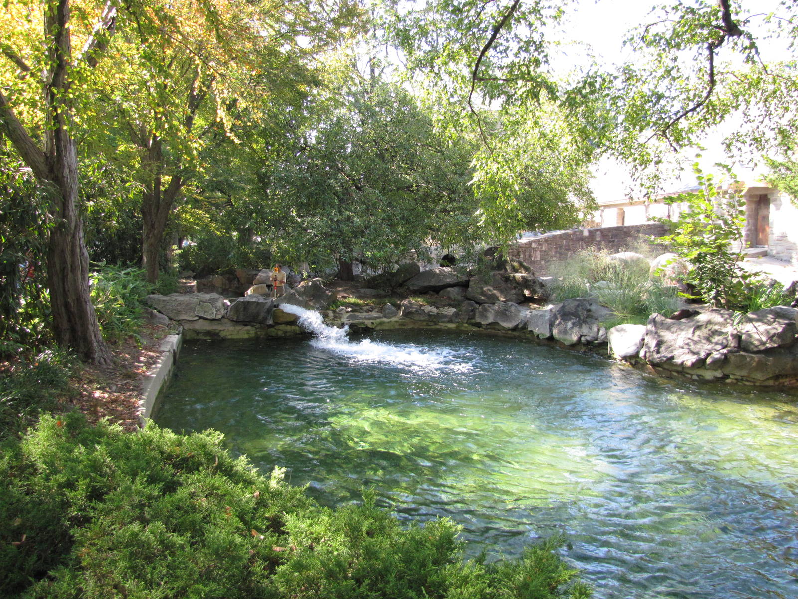 Philadelphia Zoo 2010 - Second part of Nile Hippopotamus pool