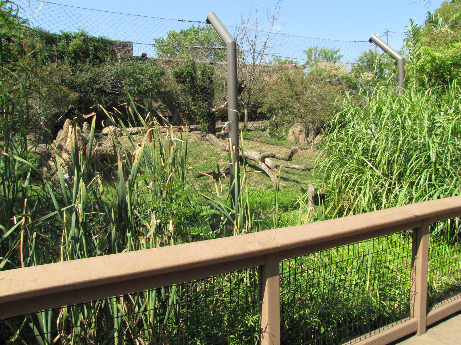 Philadelphia Zoo 2010 - Side of the African Lion exhibit