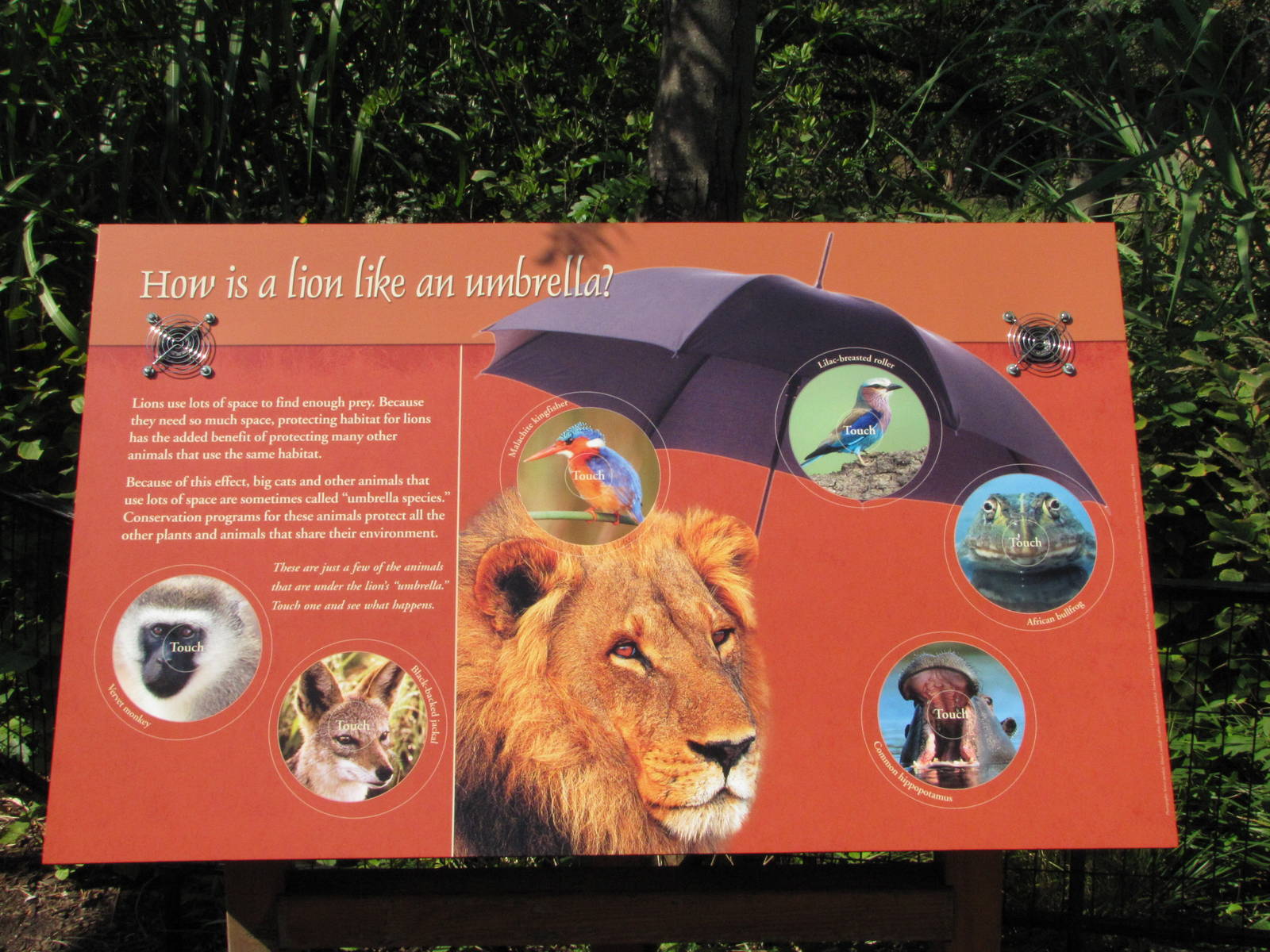 Philadelphia Zoo 2010 - Signage example in Big Cat Falls