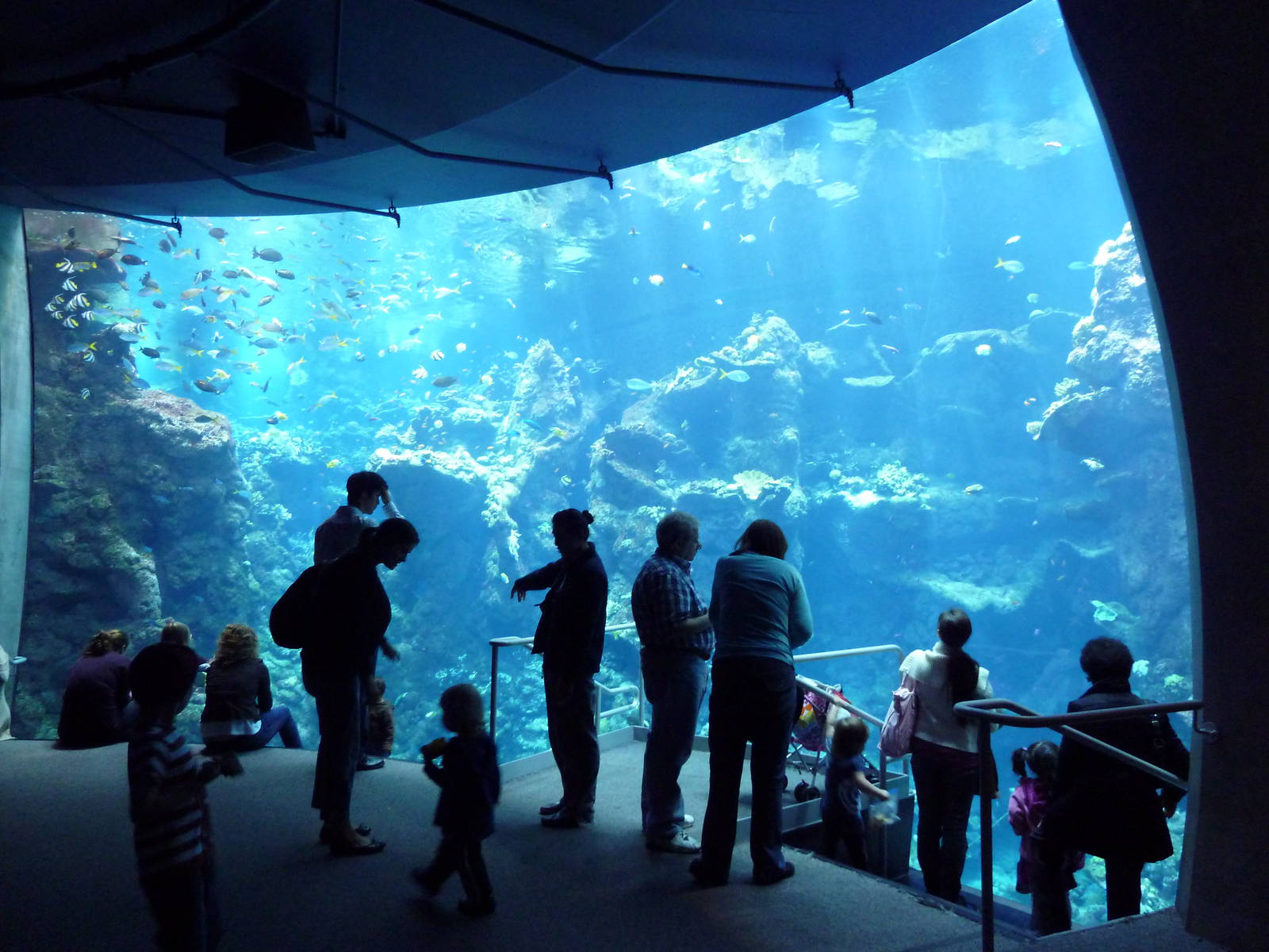 Philippine Coral Reef Exhibit