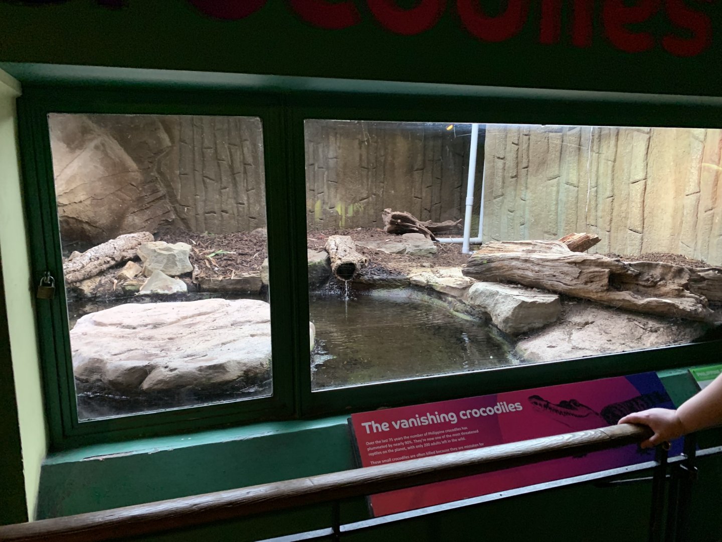 Philippine Crocodile Enclosure at London Zoo (2019)