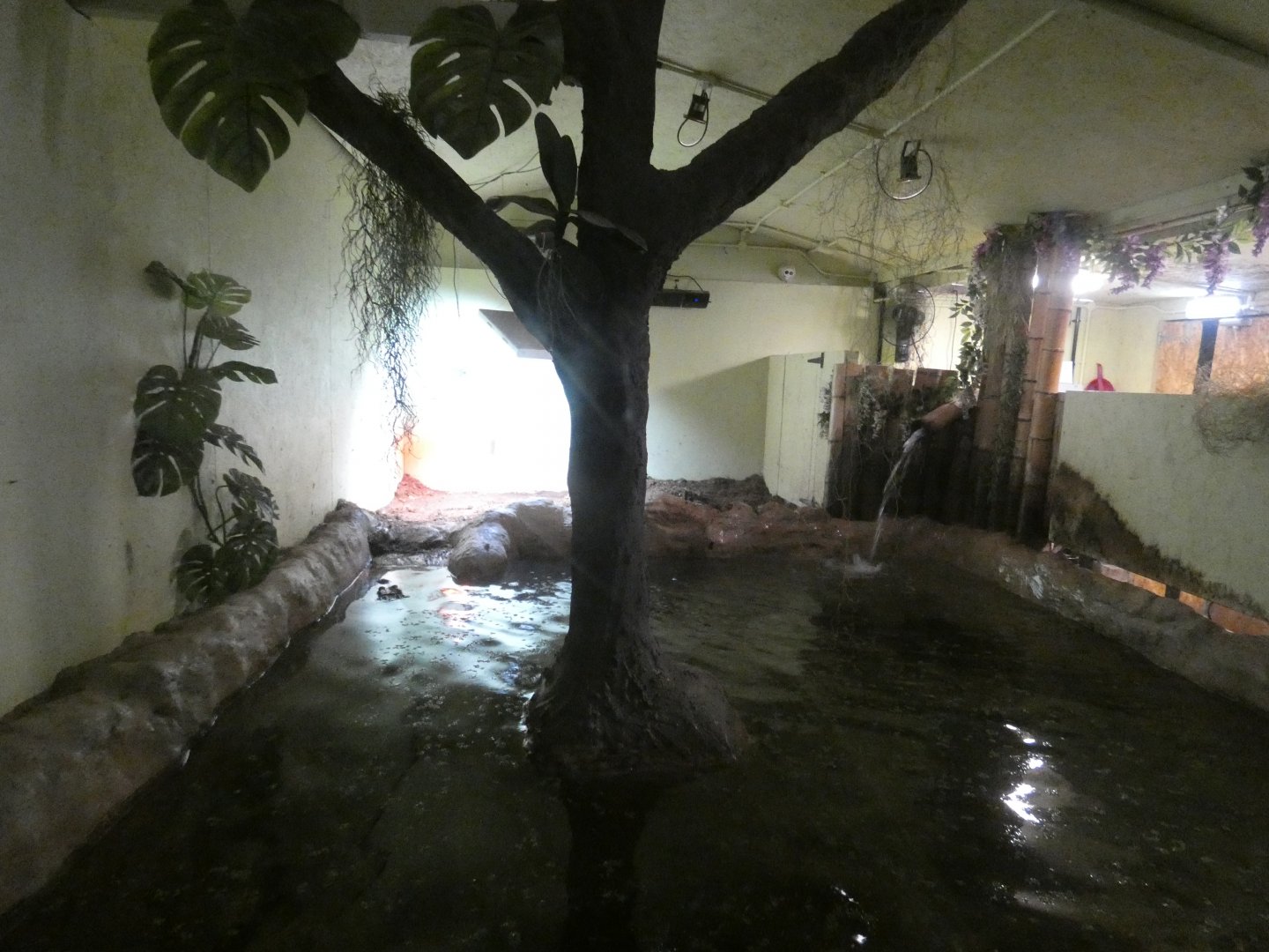 Philippine crocodile enclosure