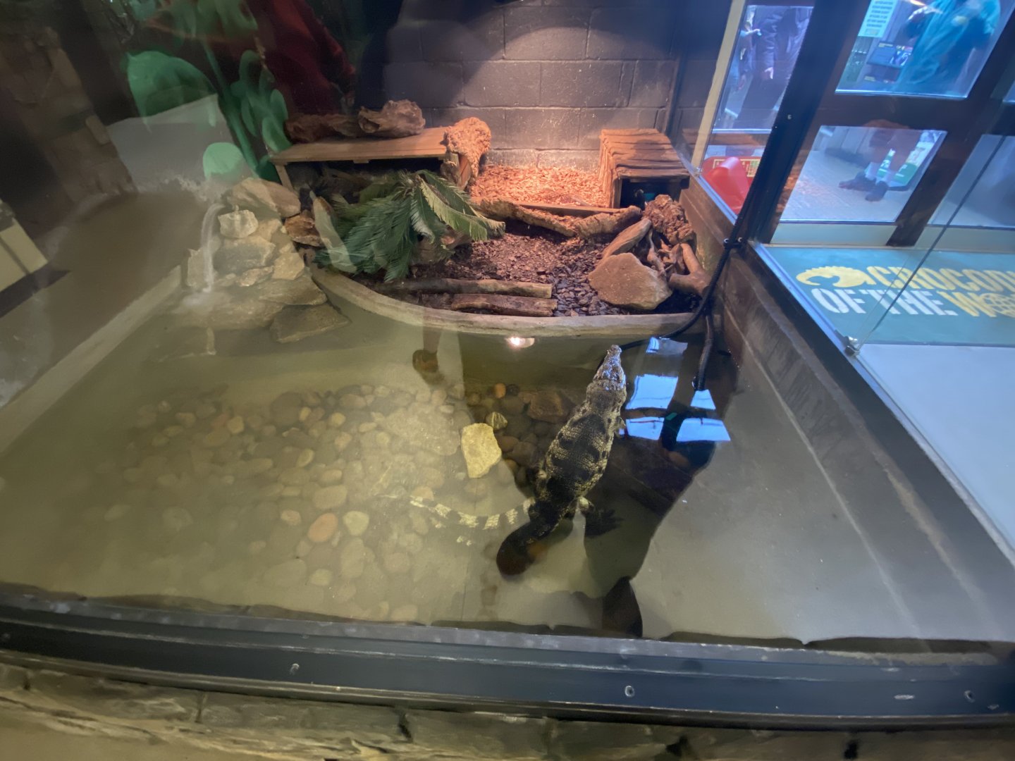 Philippine crocodile enclosure