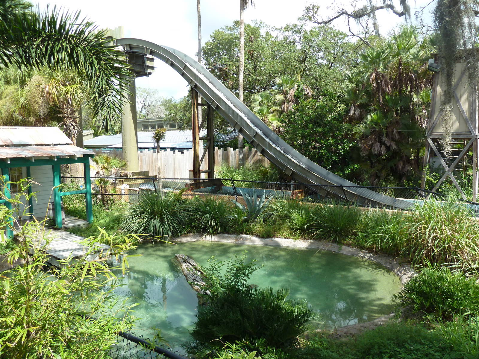 Philippine Crocodile Exhibit + Flume Ride