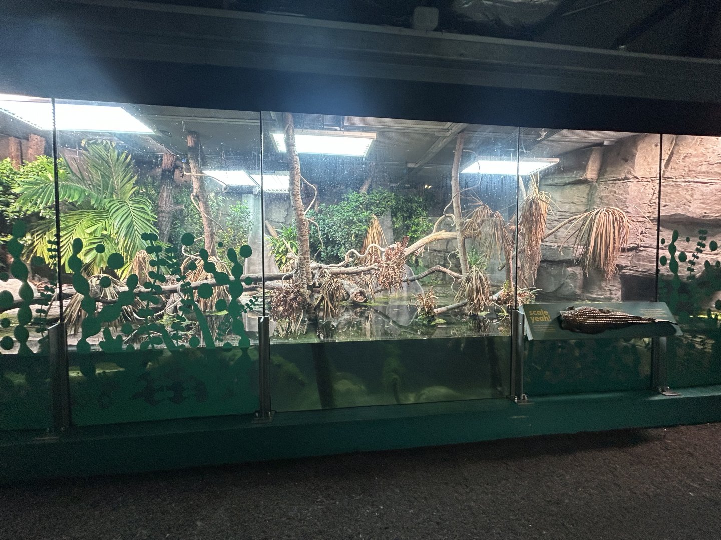 Philippine Crocodile Exhibit - The Secret Life of Reptiles & Amphibians