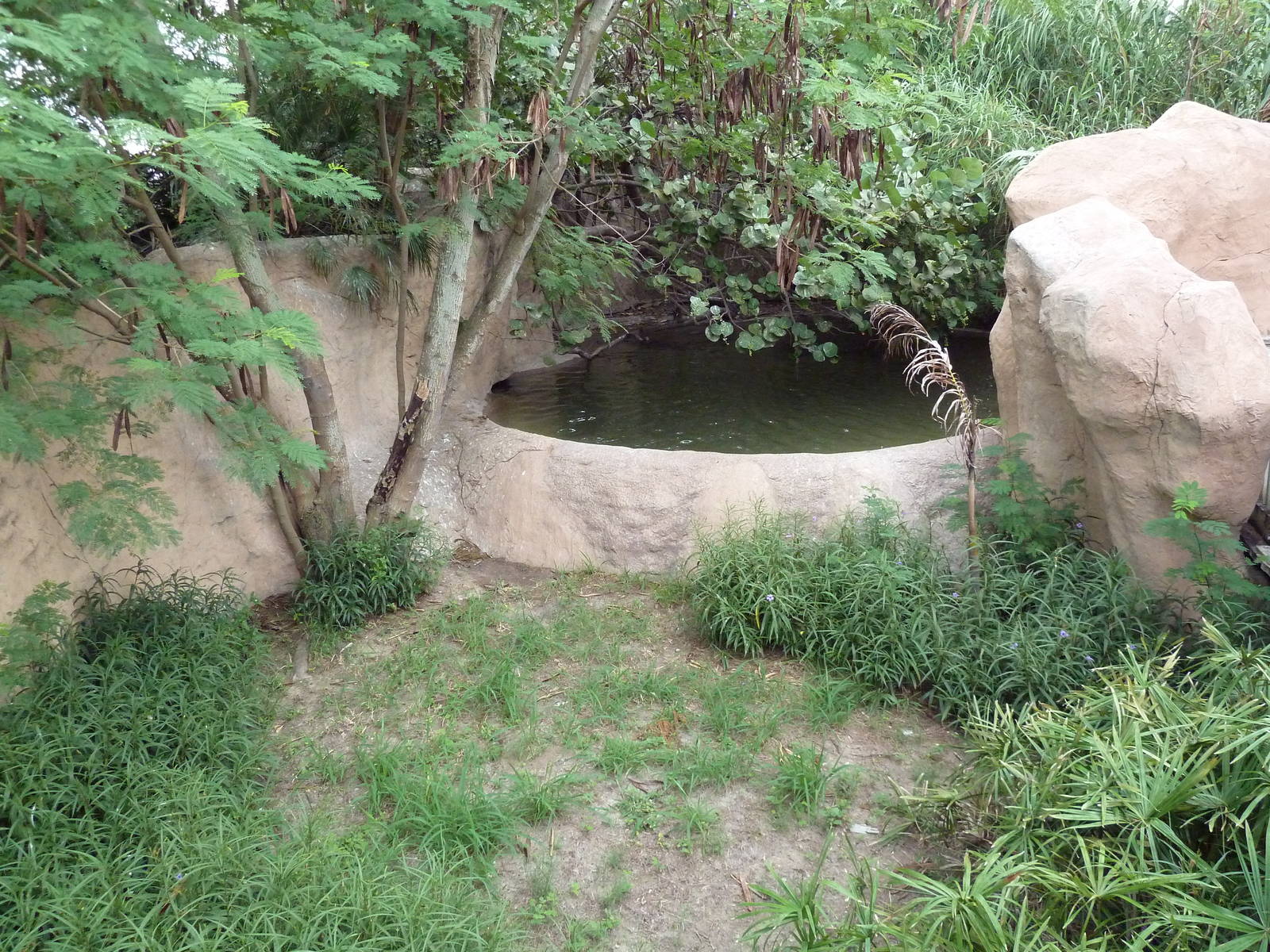 Philippine Crocodile Exhibit