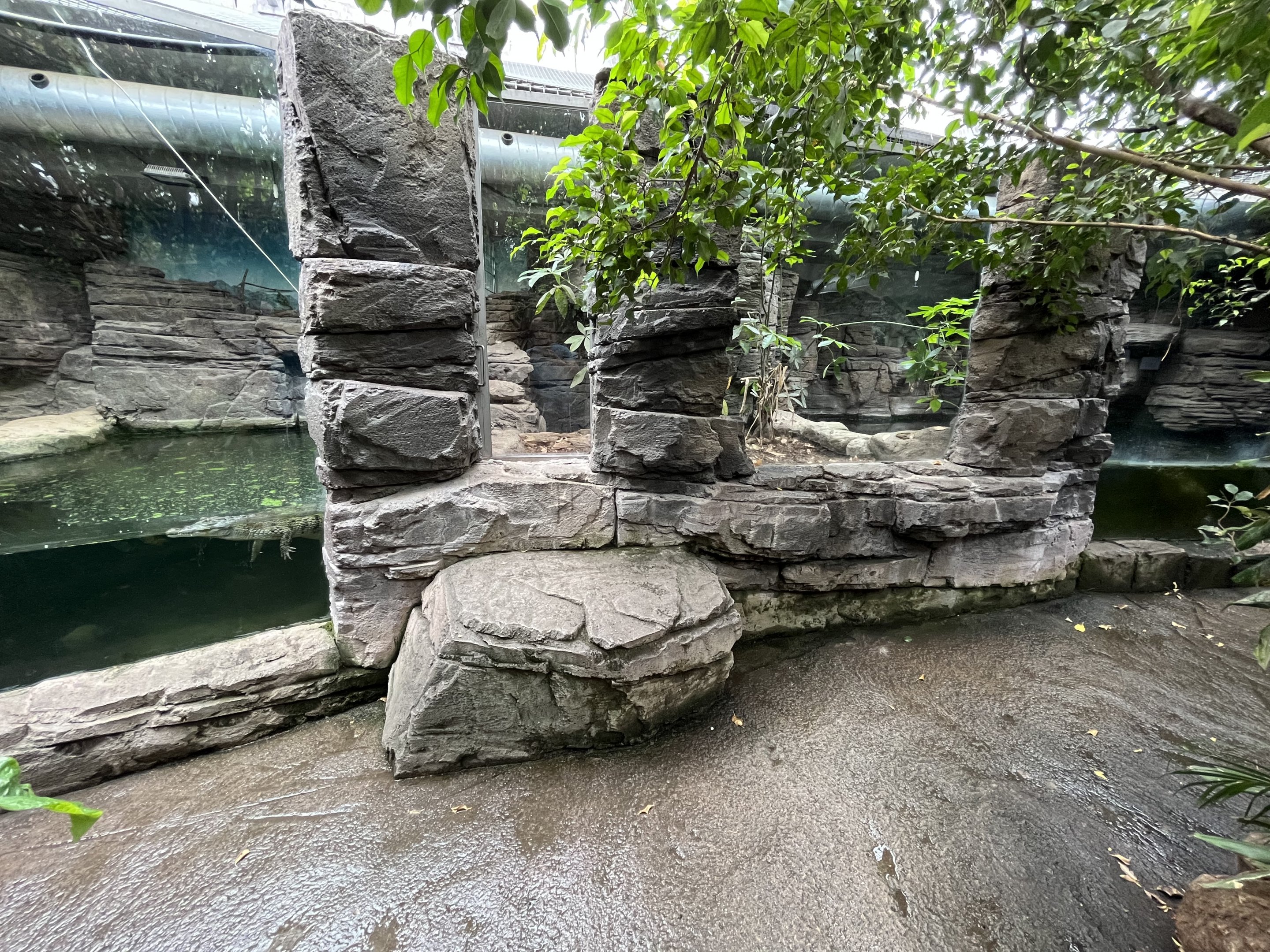 Philippine Crocodile Exhibits