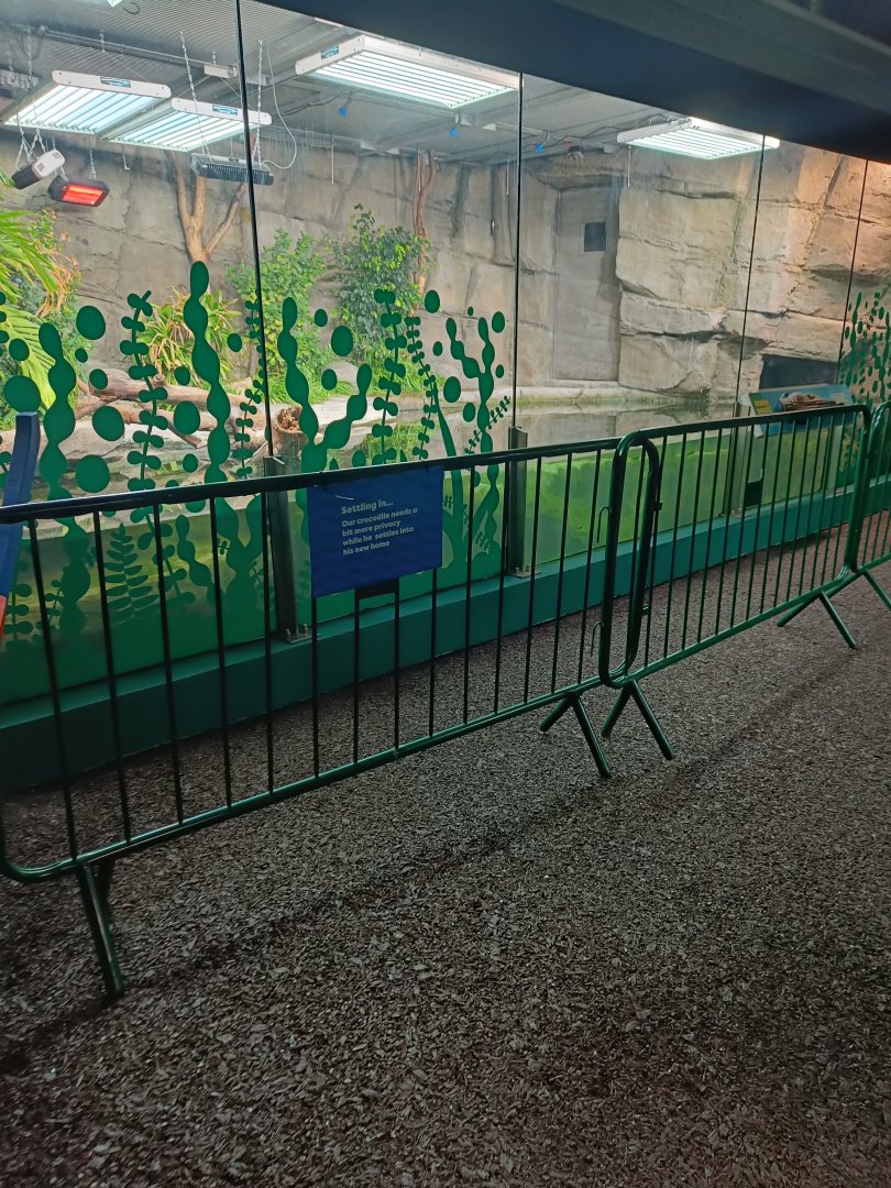 Philippine Crocodile pool in SLoRA (new Reptile House)