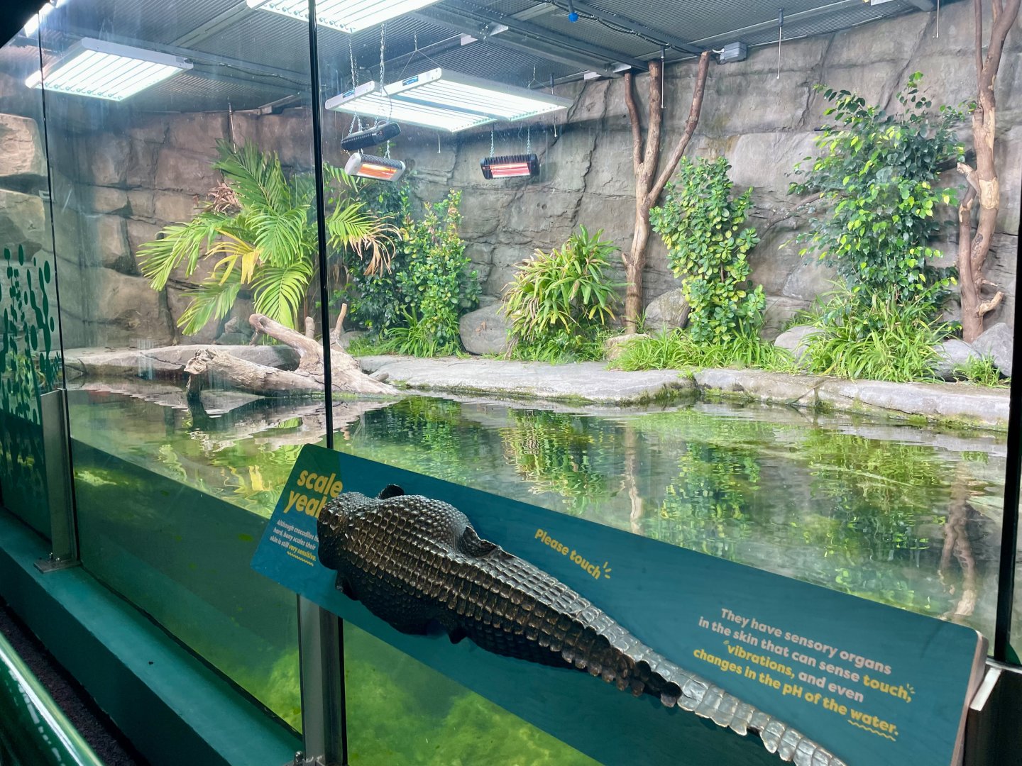 Philippine Crocodile Tank