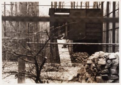 Philippine eagle aviary