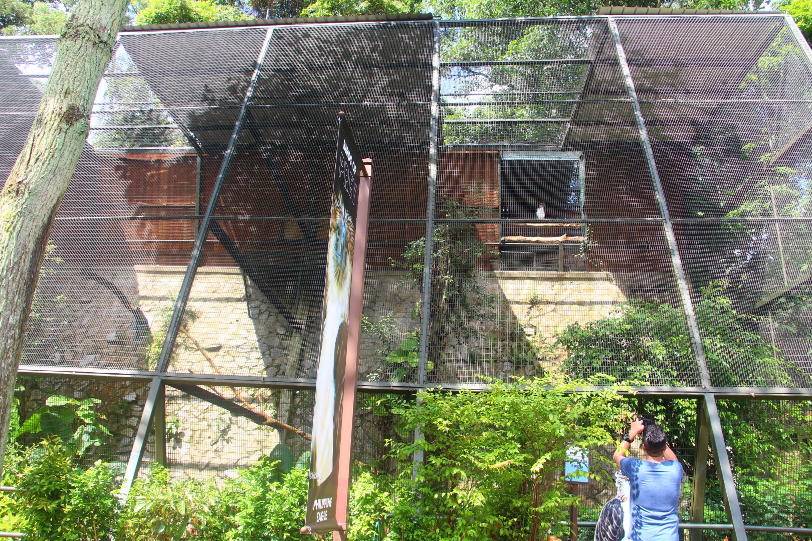 Philippine Eagle aviary