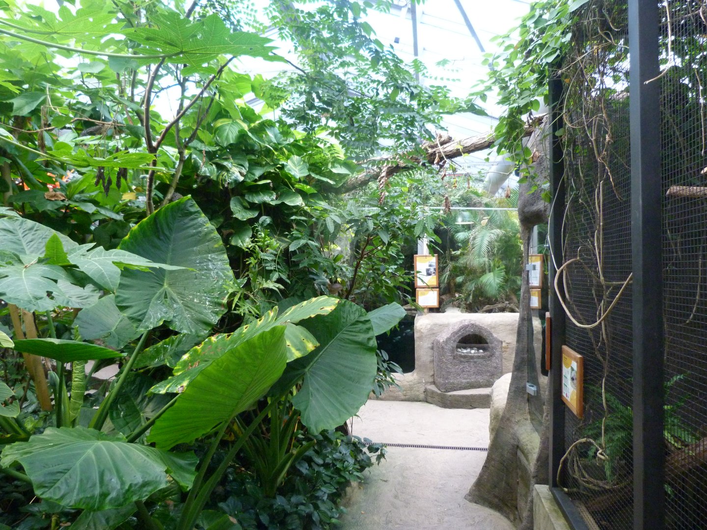 Philippine greenhouse -Zoo Plzeň (2025)