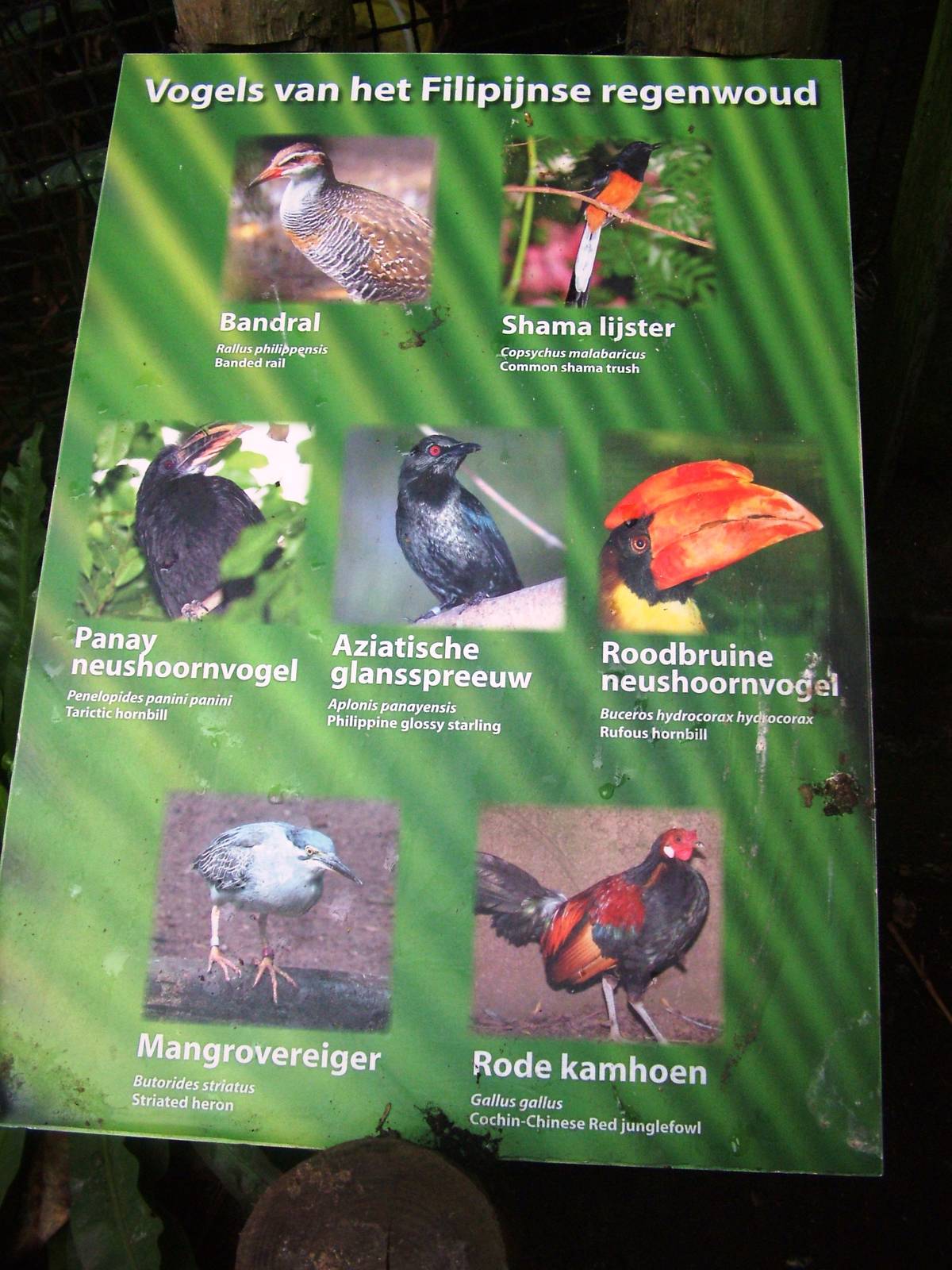 Philippine House Signage at Avifauna, 04/06/12