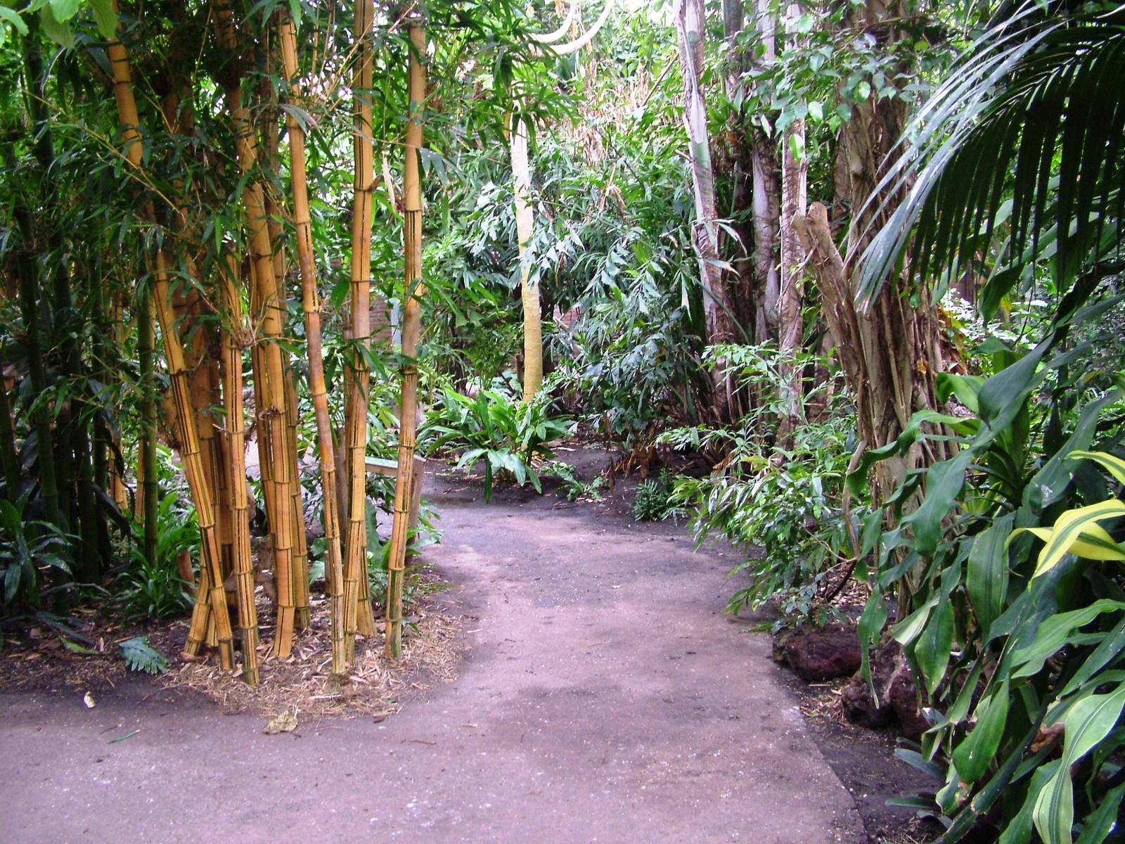 Philippine House Signage at Avifauna, 04/06/12