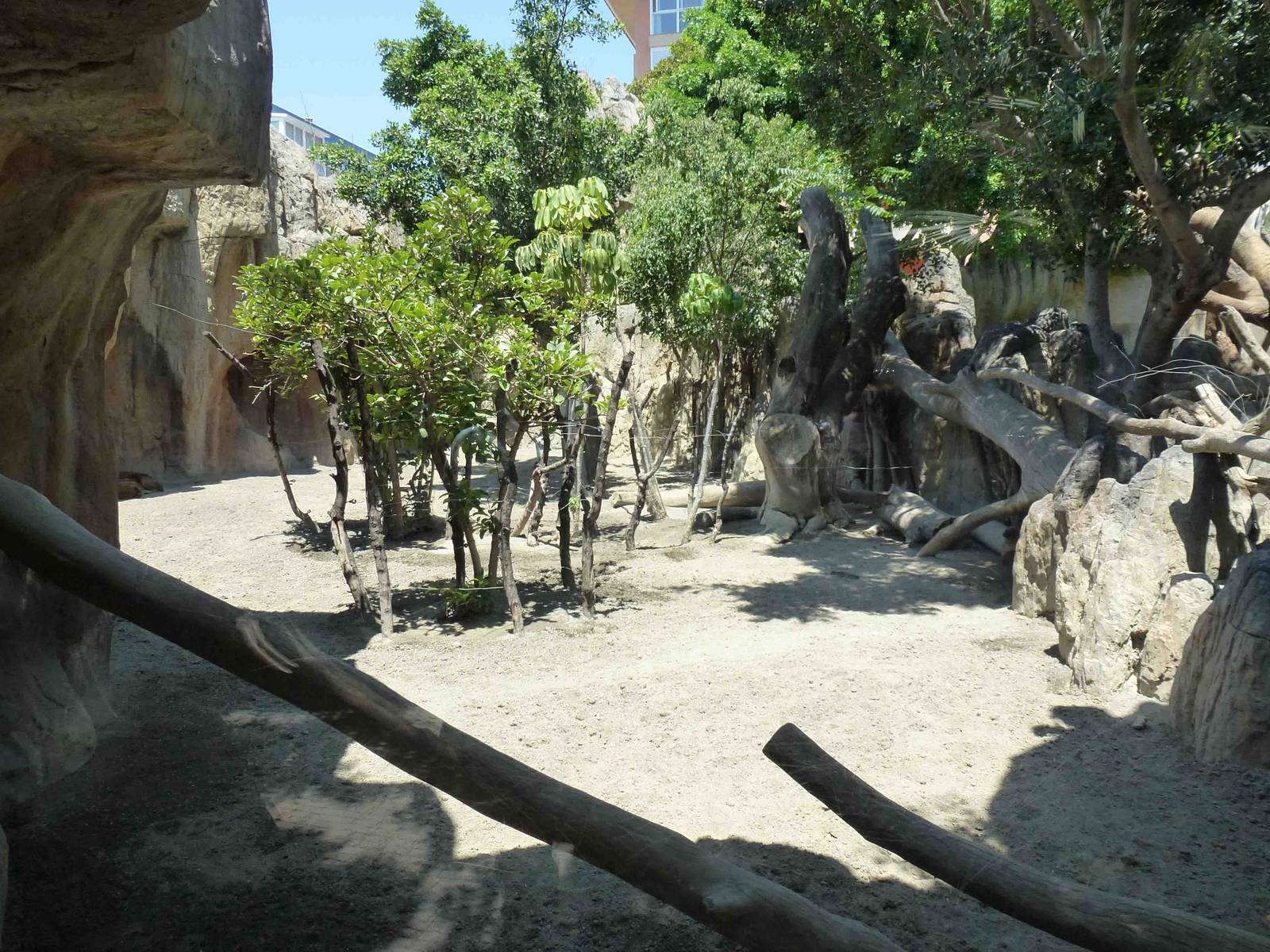 Philippine spotted deer enclosure, July 2013.