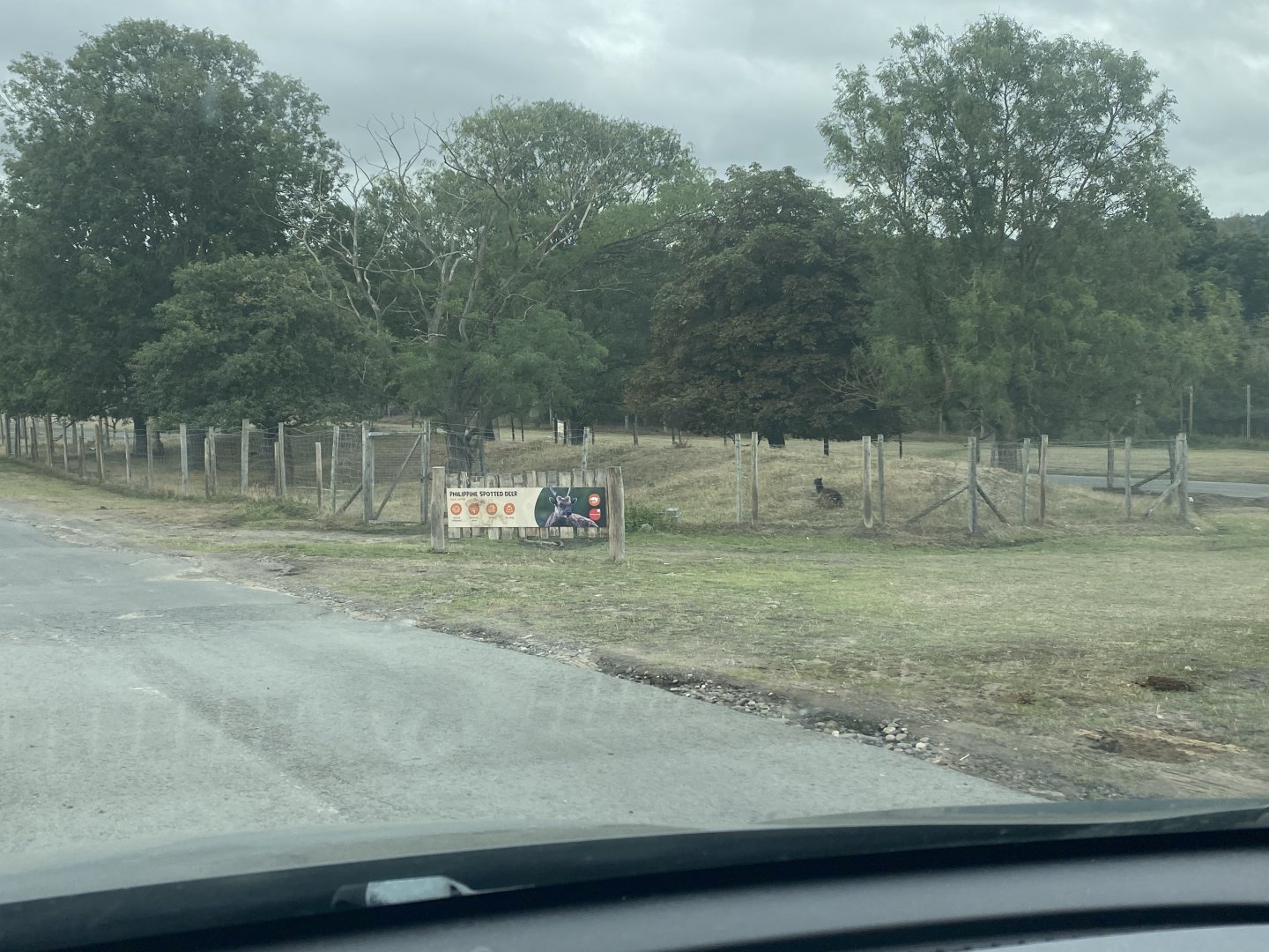 Philippine spotted deer enclosure