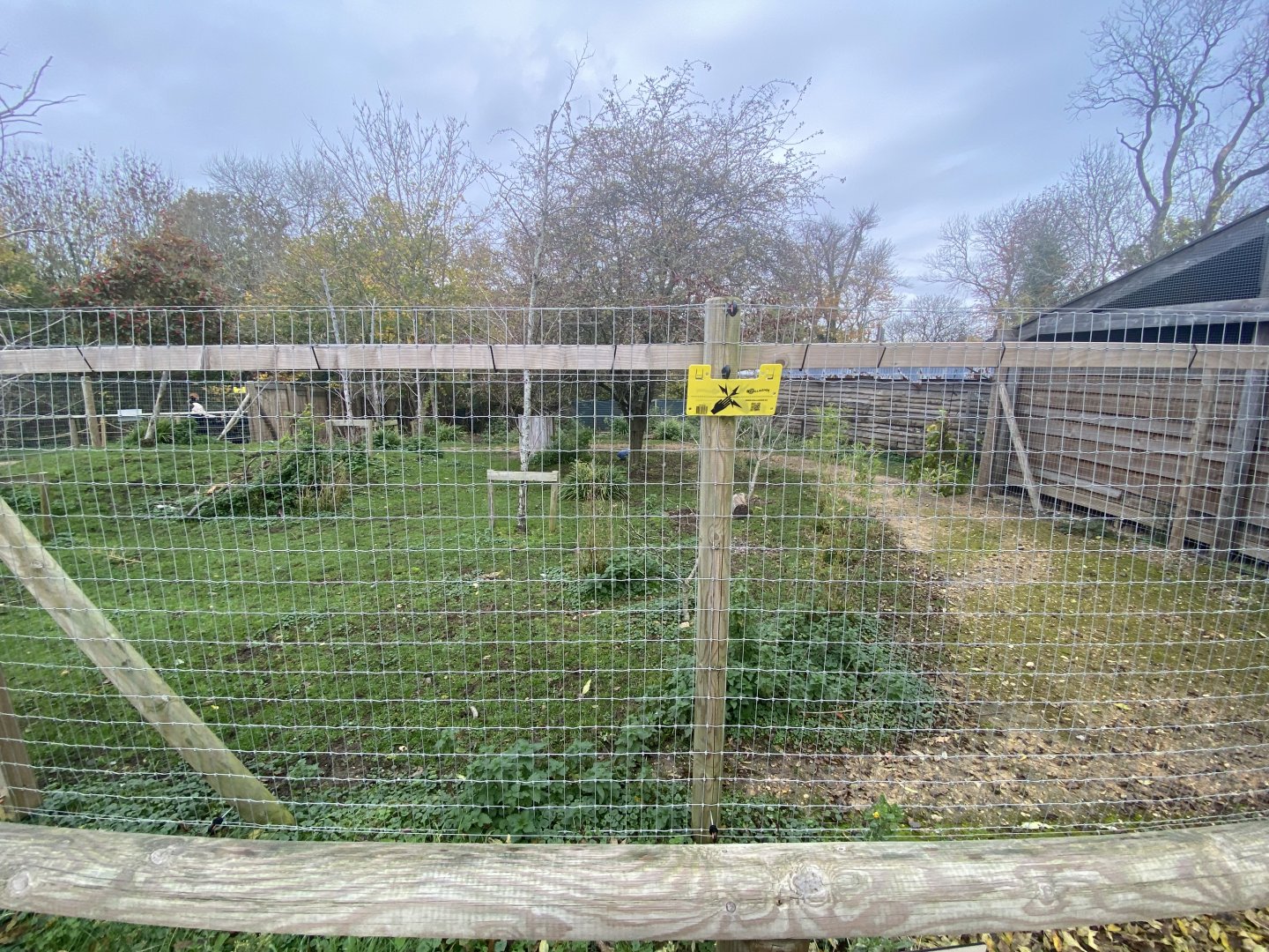 Philippine-spotted deer enclosure