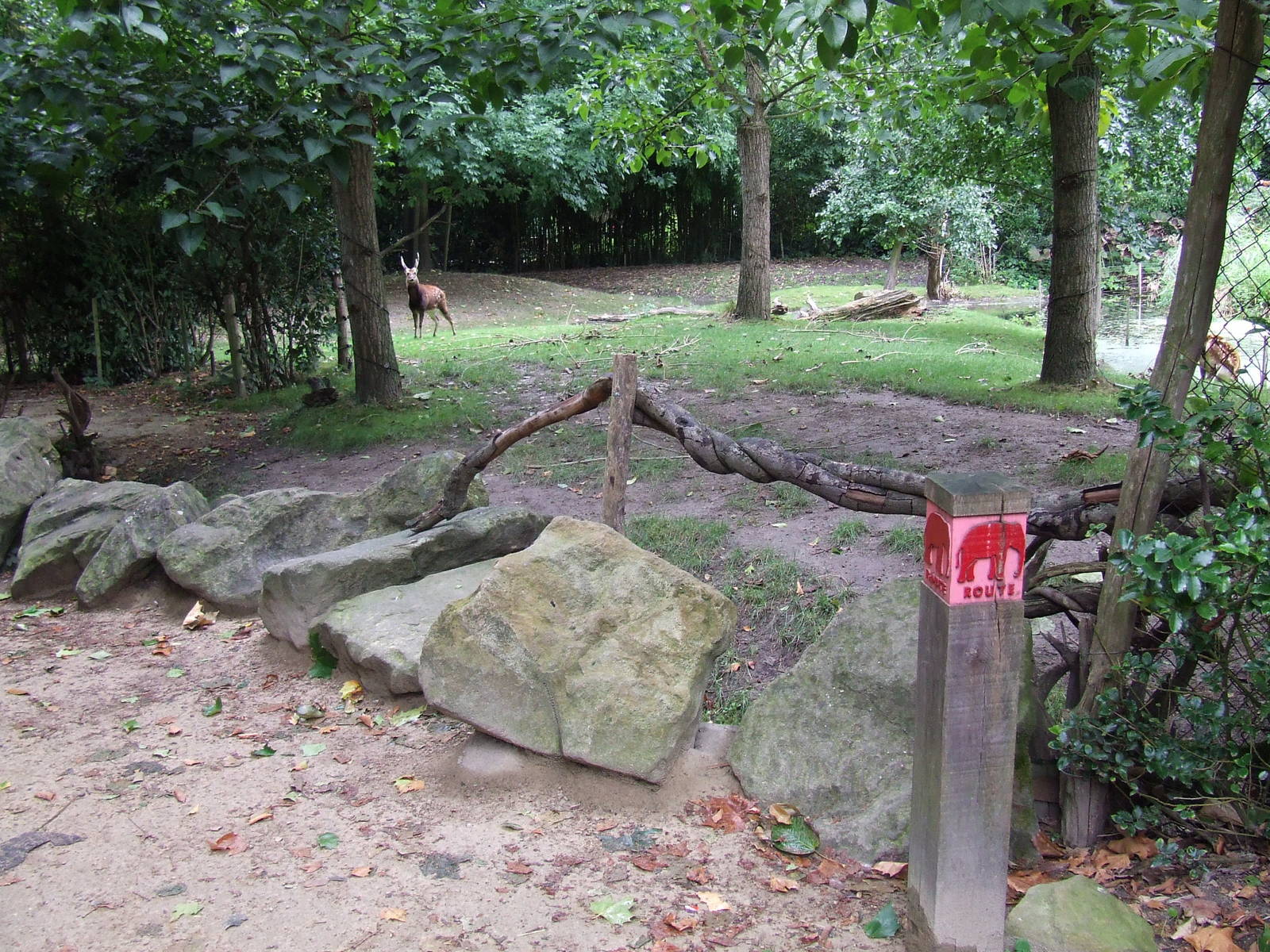 Philippine Spotted Deer exhibit