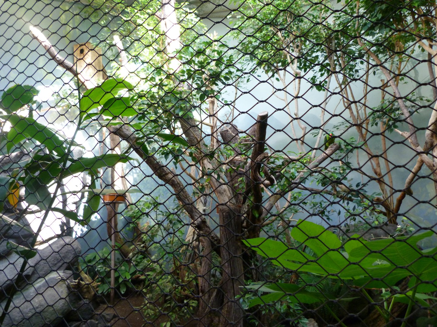 Philippines exhibit -Zoo Praha (2025)