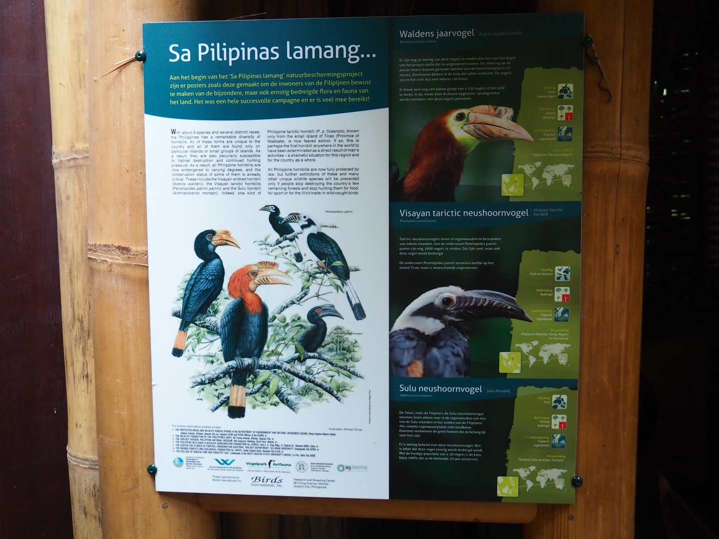 Philippines hornbills conservation project sign (Sep 2nd, 2018)