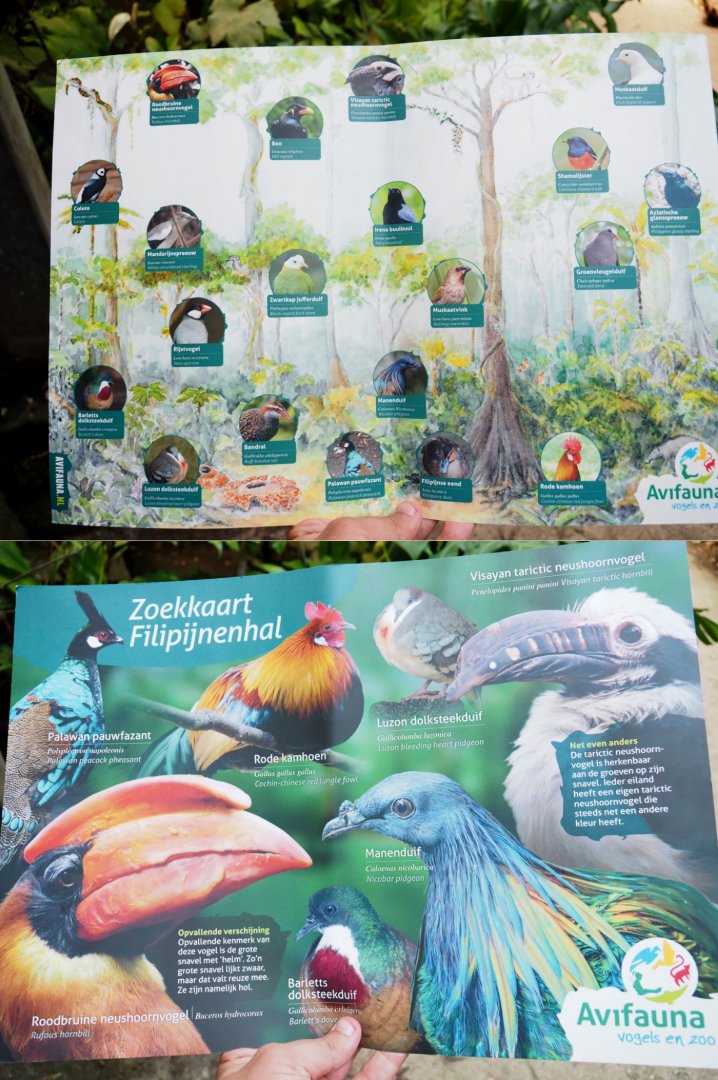 Philippines section of tropical hall - Bird identification card (Sep 2nd, 2018)