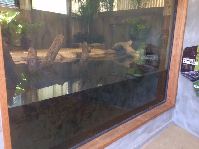 Phillipine croc exhibit