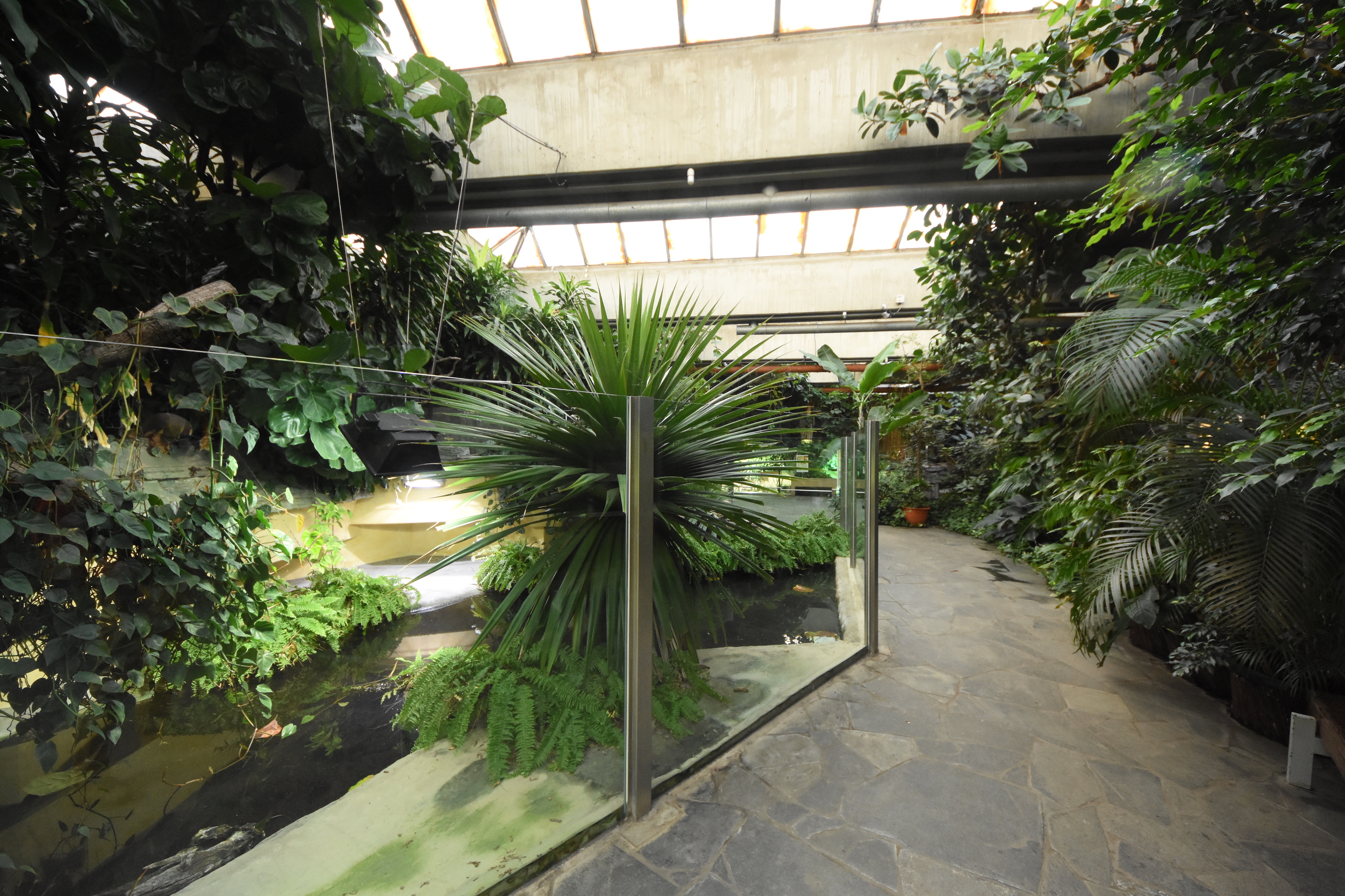 Phillipine crocodile enclosure