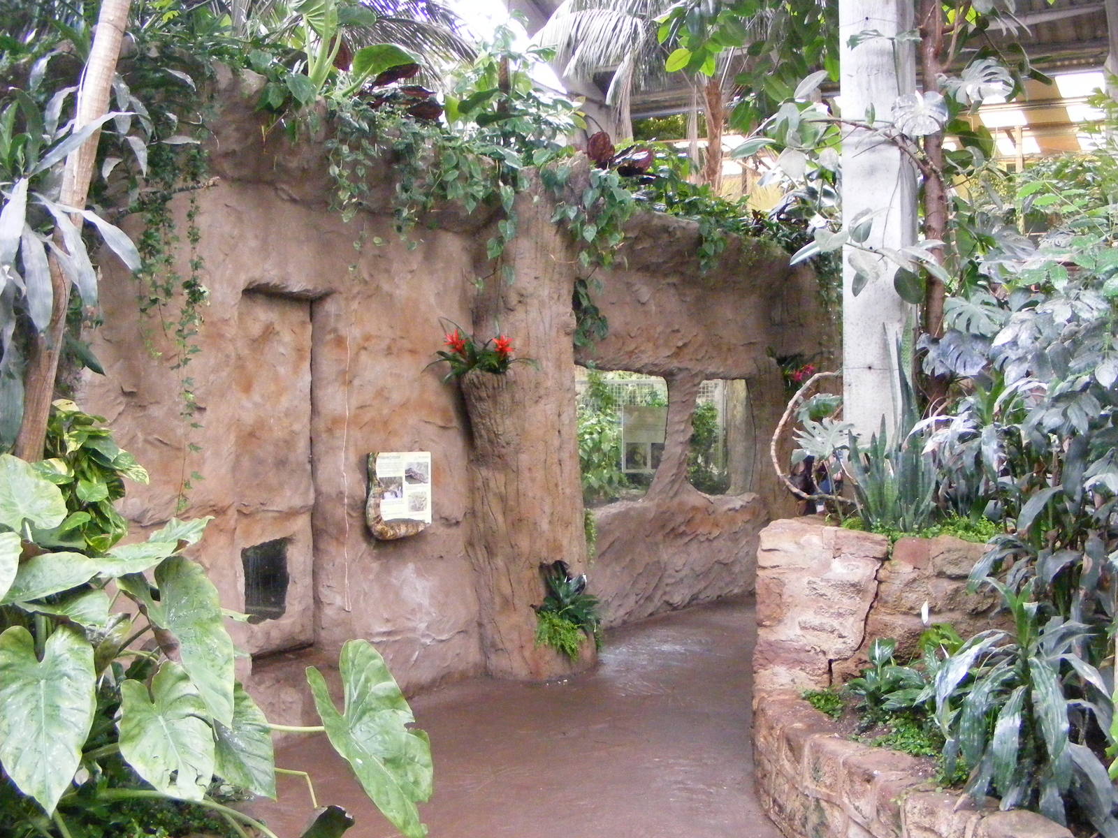 Phillipine Crocodile Enclosure