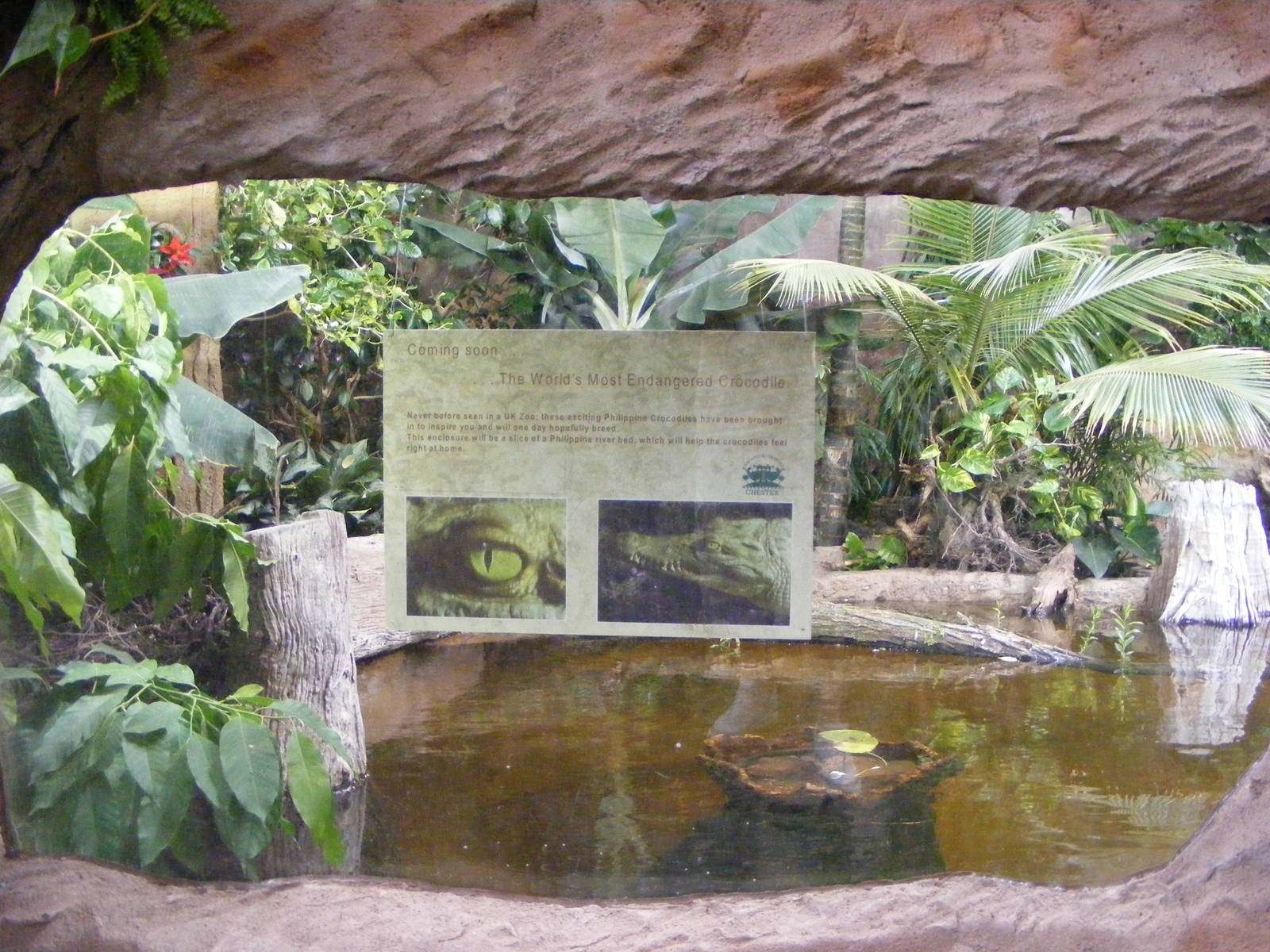 Phillipine Crocodile Enclosure
