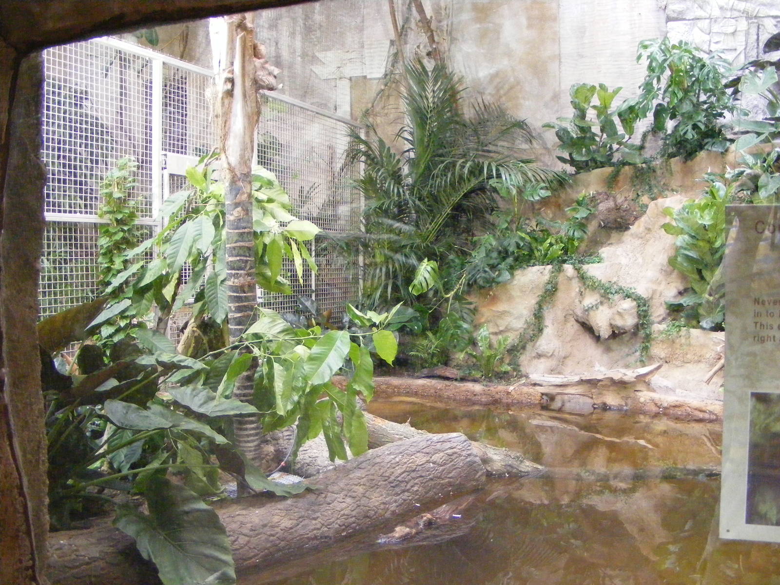 Phillipine Crocodile Enclosure