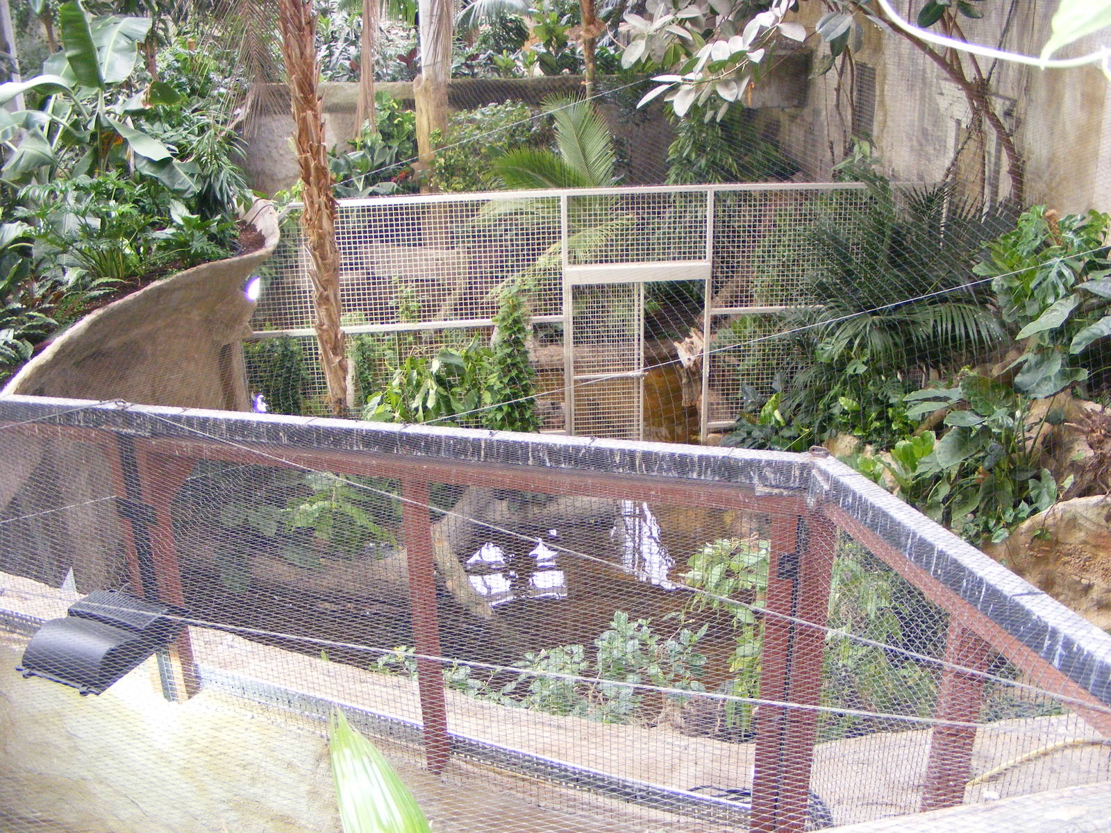 Phillipine Crocodile Enclosure