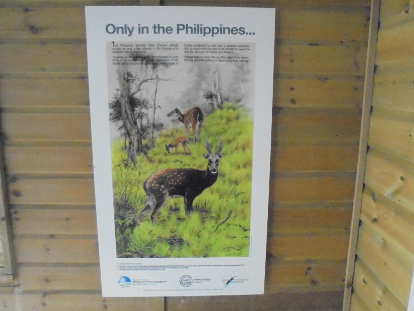 Phillipines conservation posters,  featuring artwork by William Oliver.