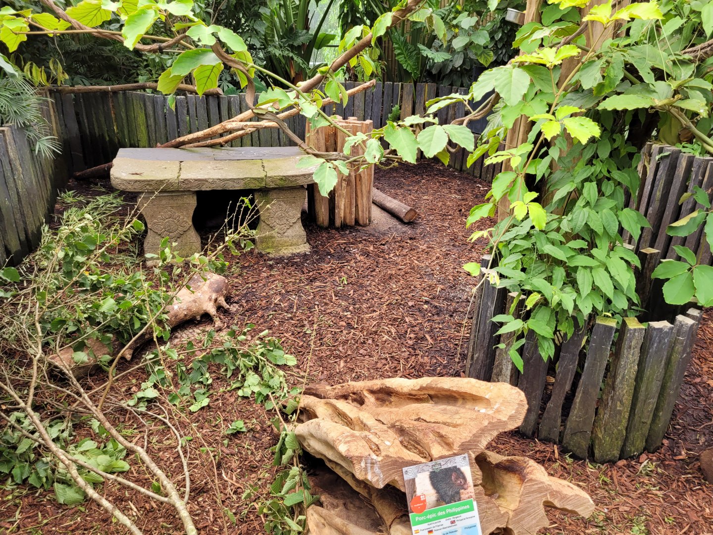 Phillippine porcupine exhibit -Zoo d'Asson (2022)