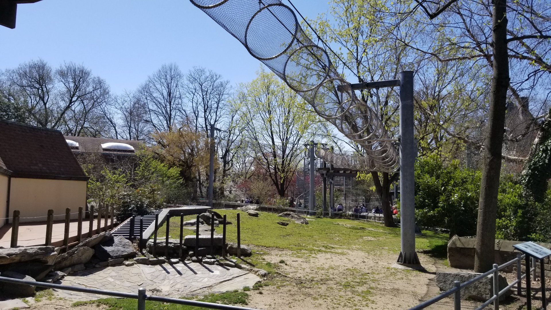 Philly - 360 trail over tortoise yard