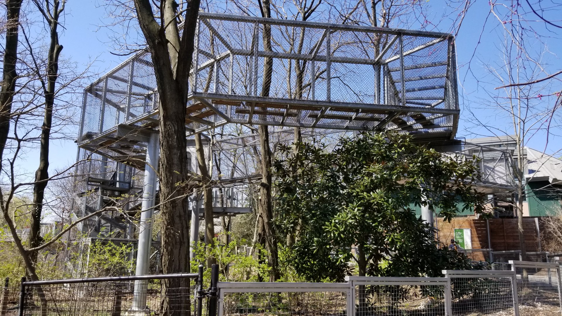 Philly - 360 trails, gorilla with big cat under