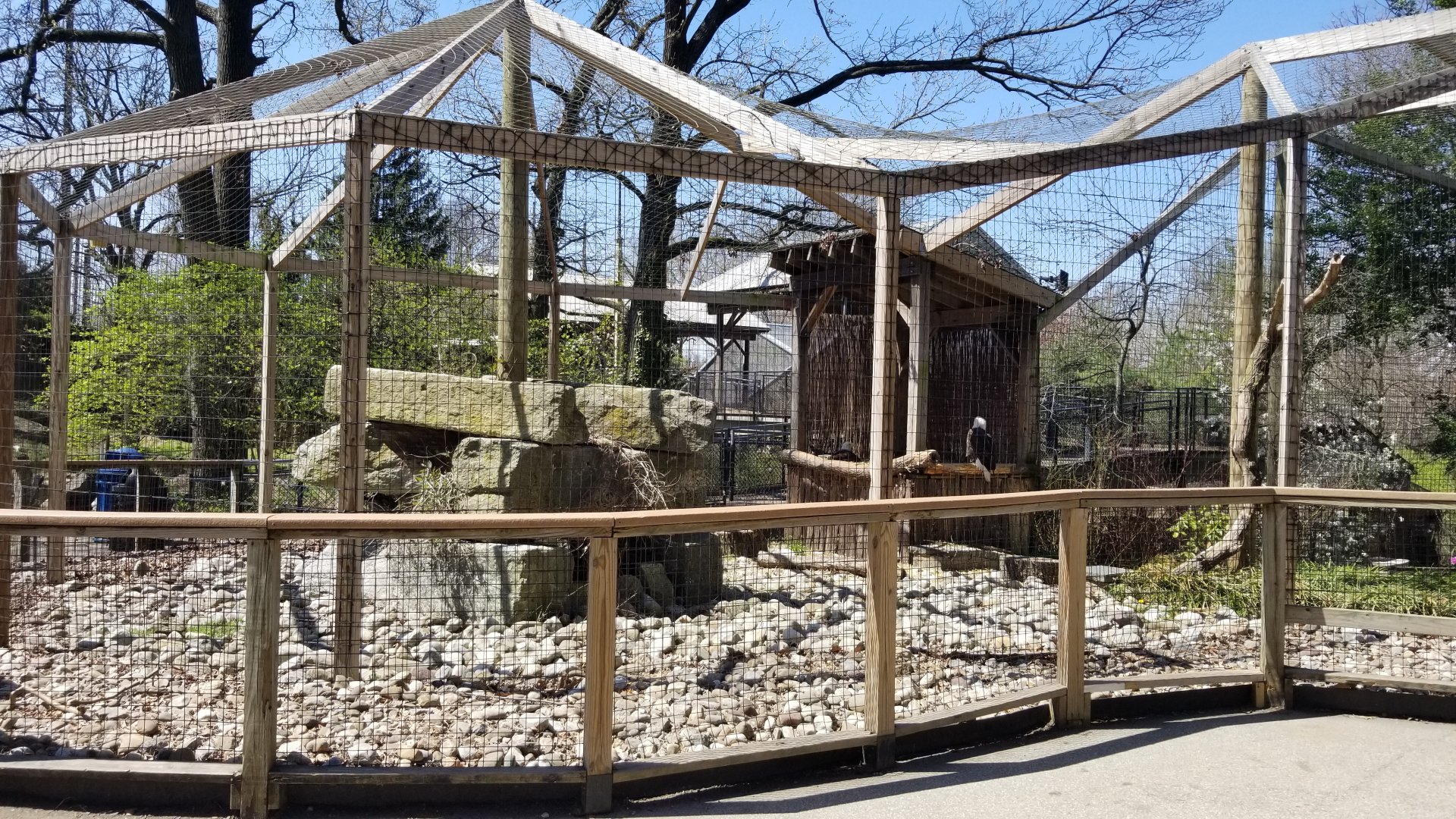 Philly - Bald eagles