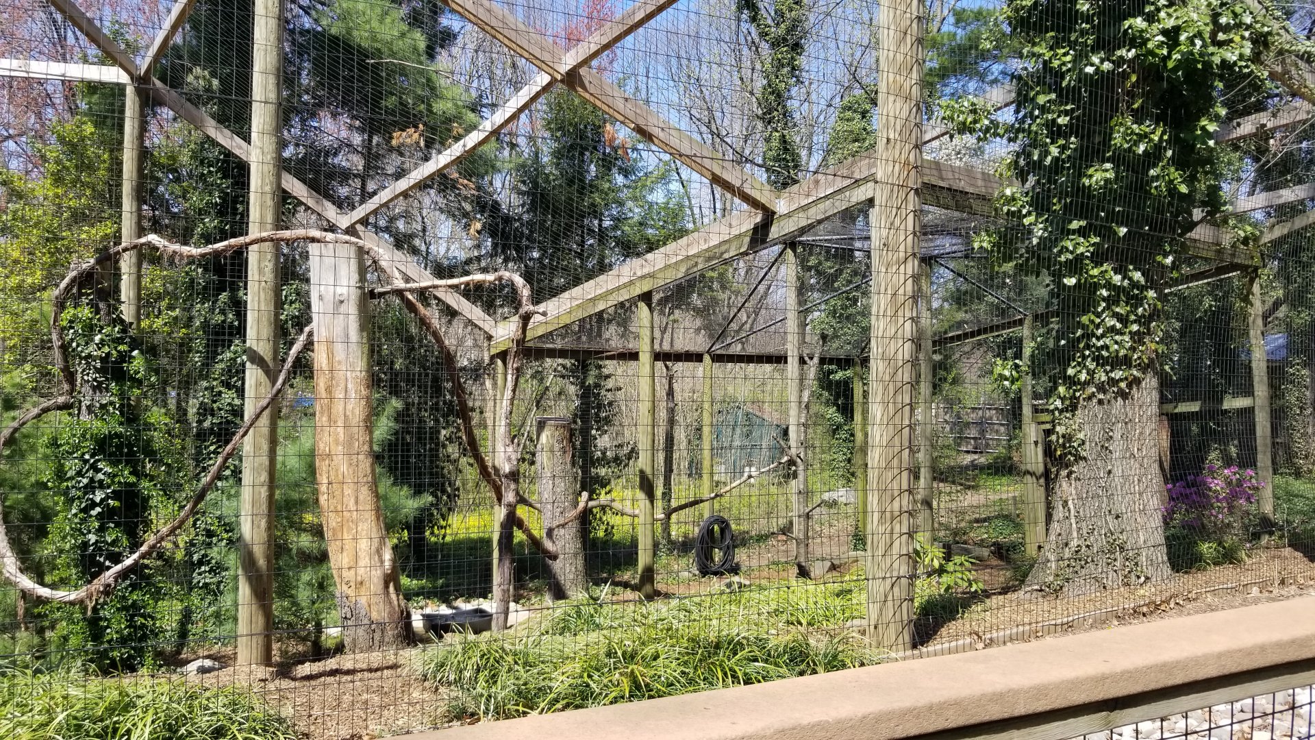 Philly - Bald eagles