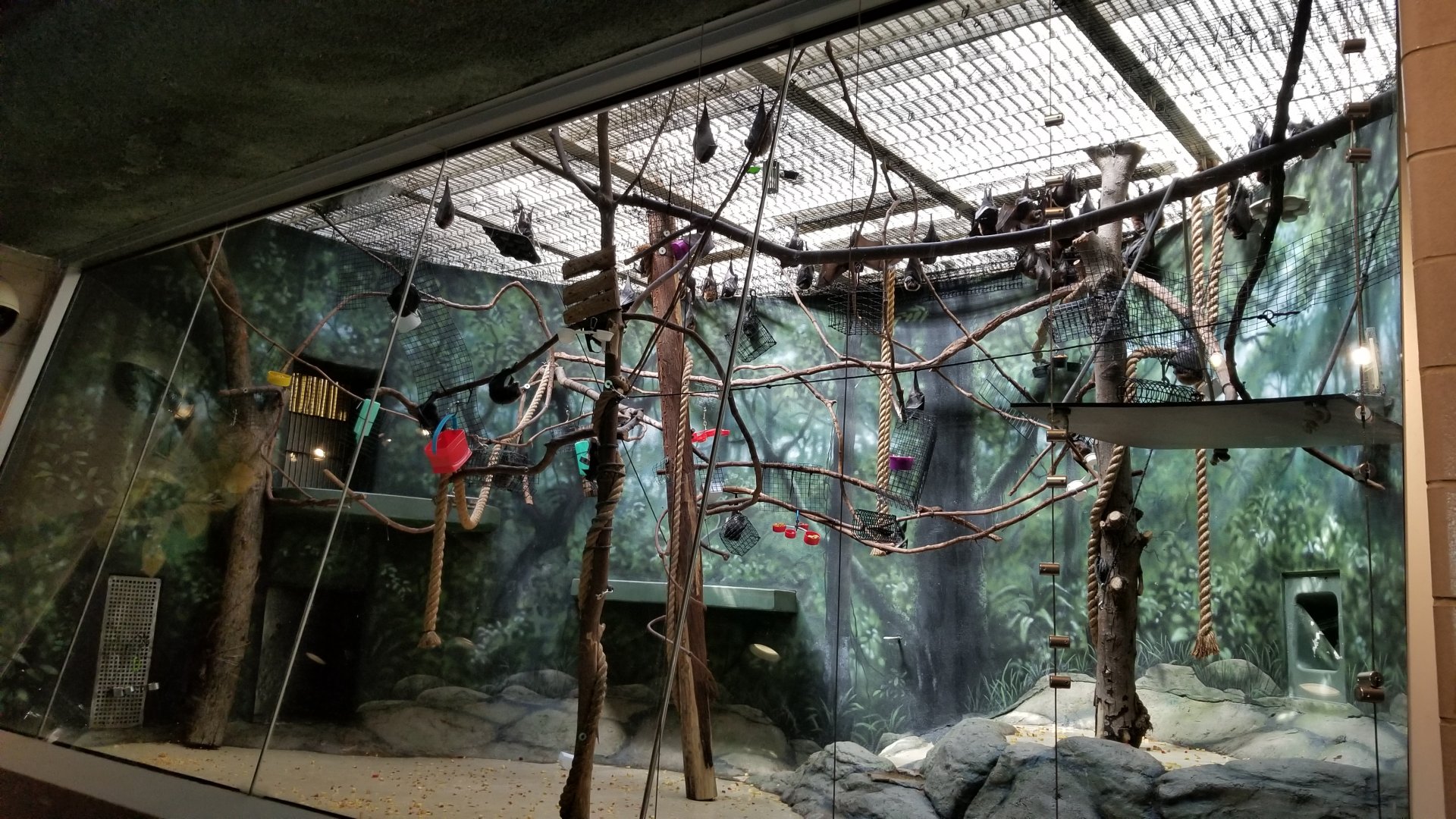 Philly - Bats now in center exhibit