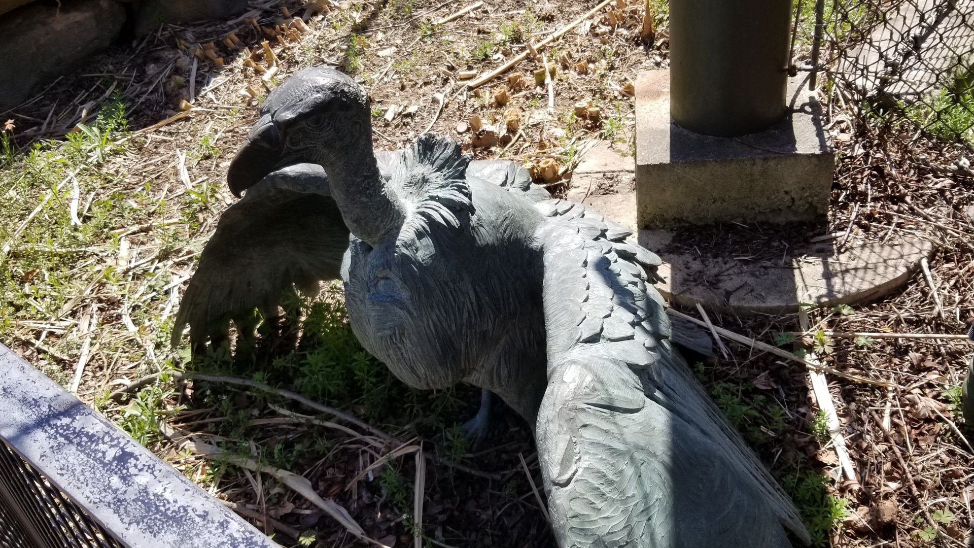 Philly - Big Cat Falls statue #2, condor