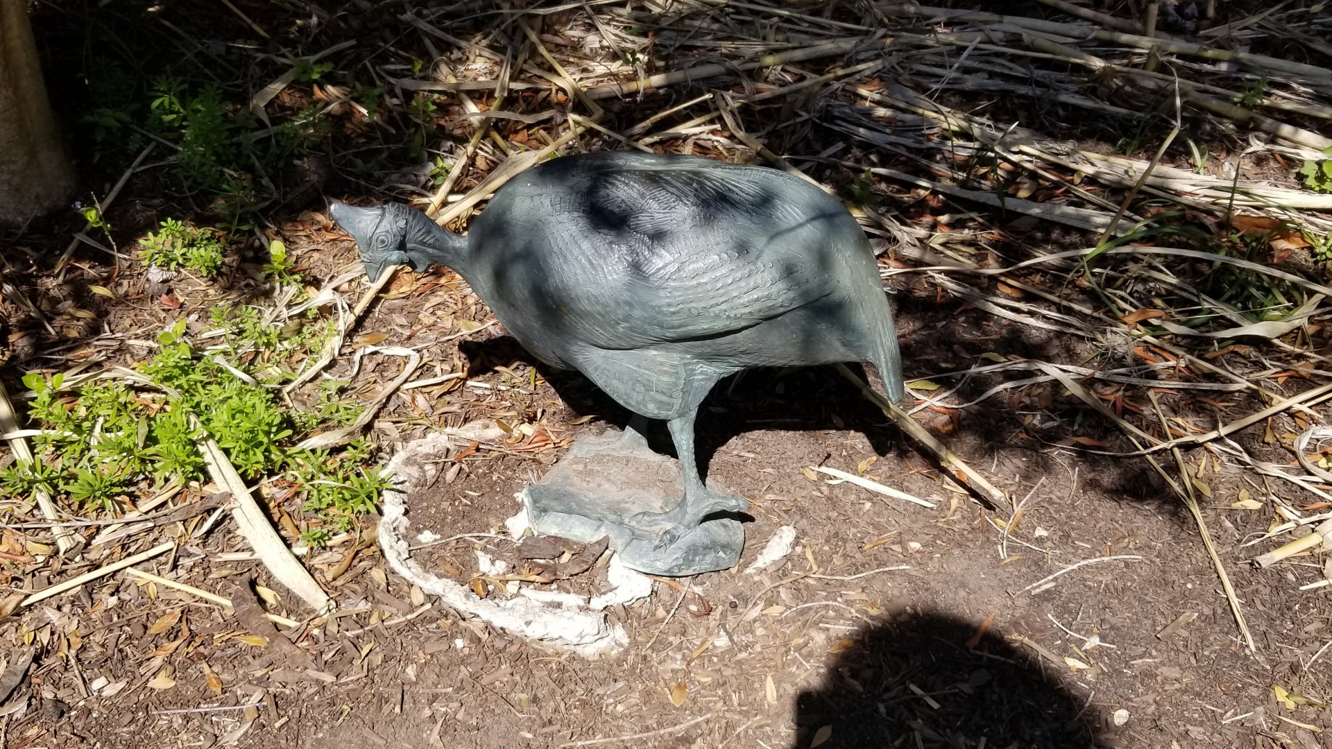 Philly - Big Cat Falls statue #3, guineafowl