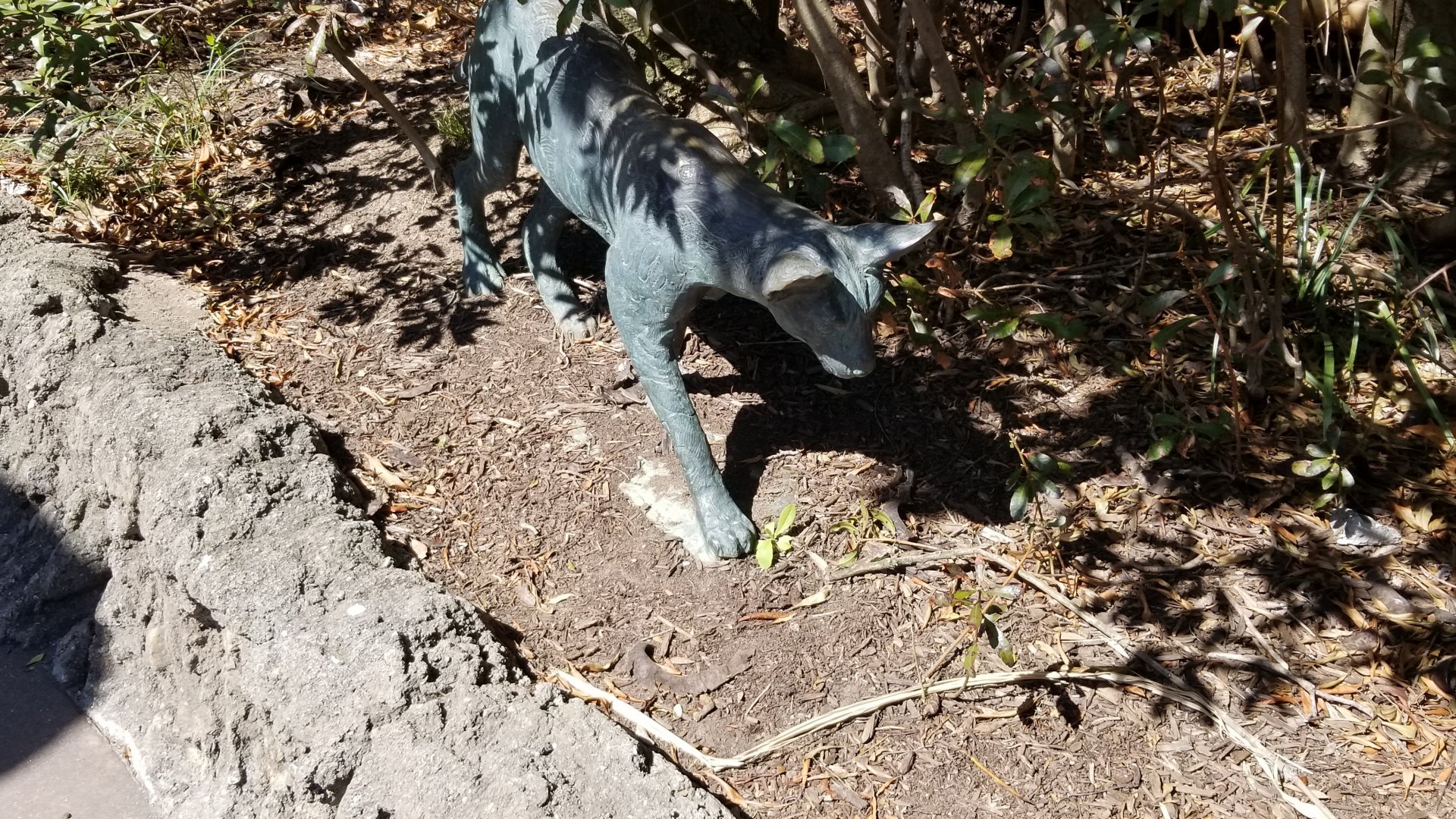 Philly - Big Cat Falls statue #4, serval