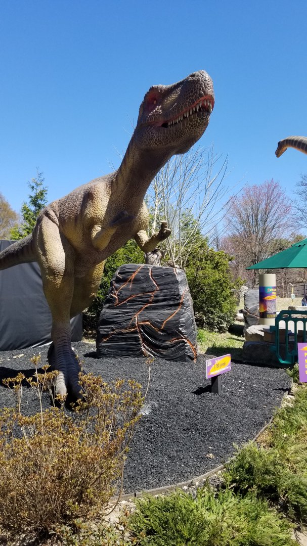 Philly - Big Time, juvenile t-rex before entrance