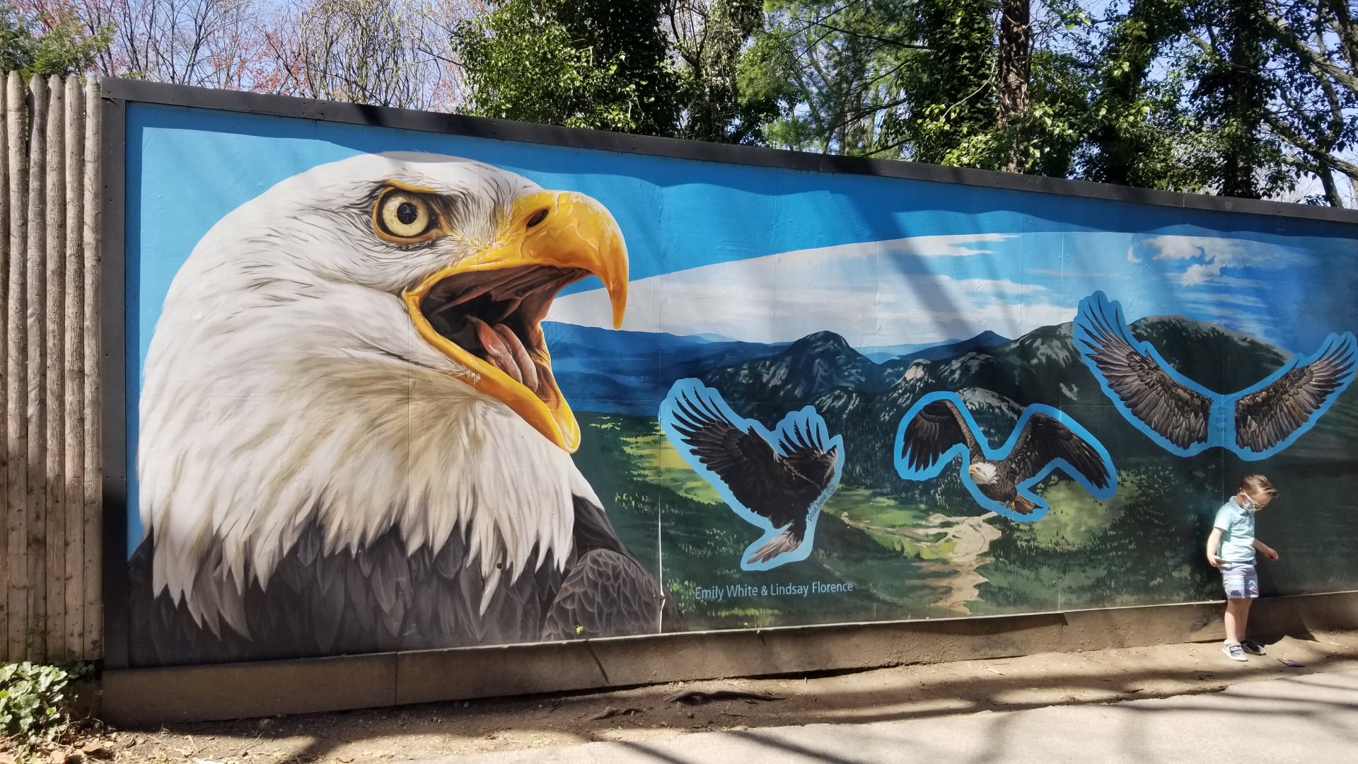 Philly - Birds of prey mural
