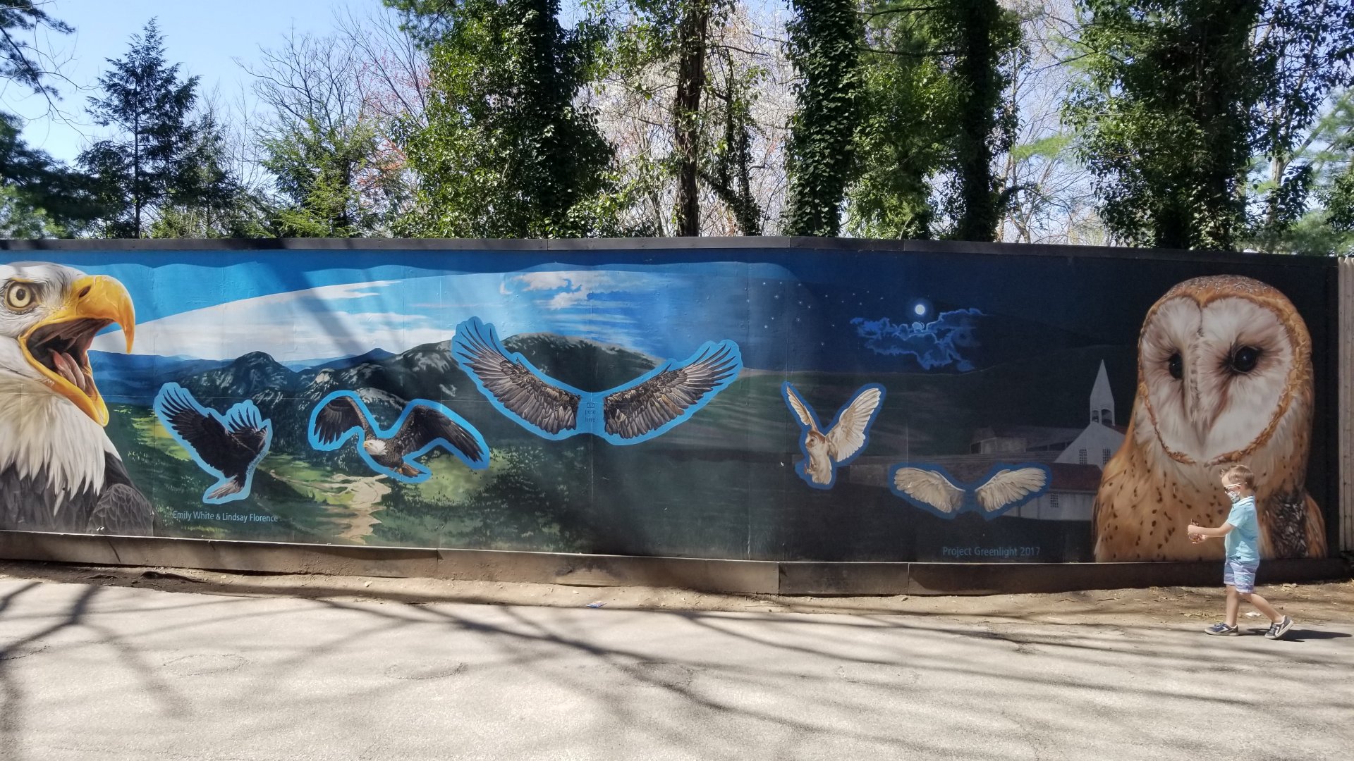 Philly - Birds of prey mural