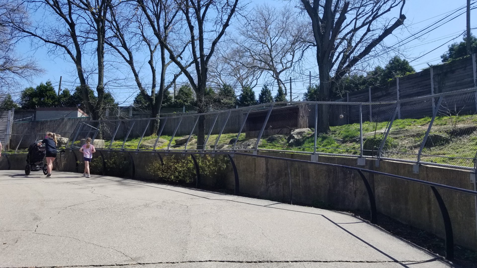Philly - Cheetah exhibit