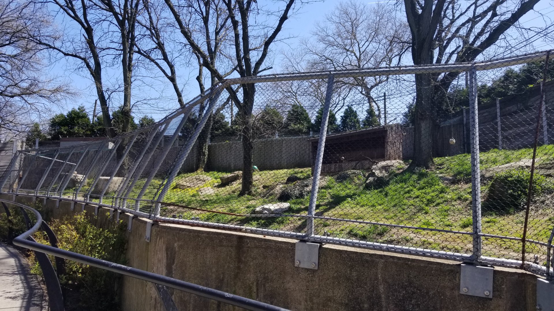 Philly - Cheetah exhibit