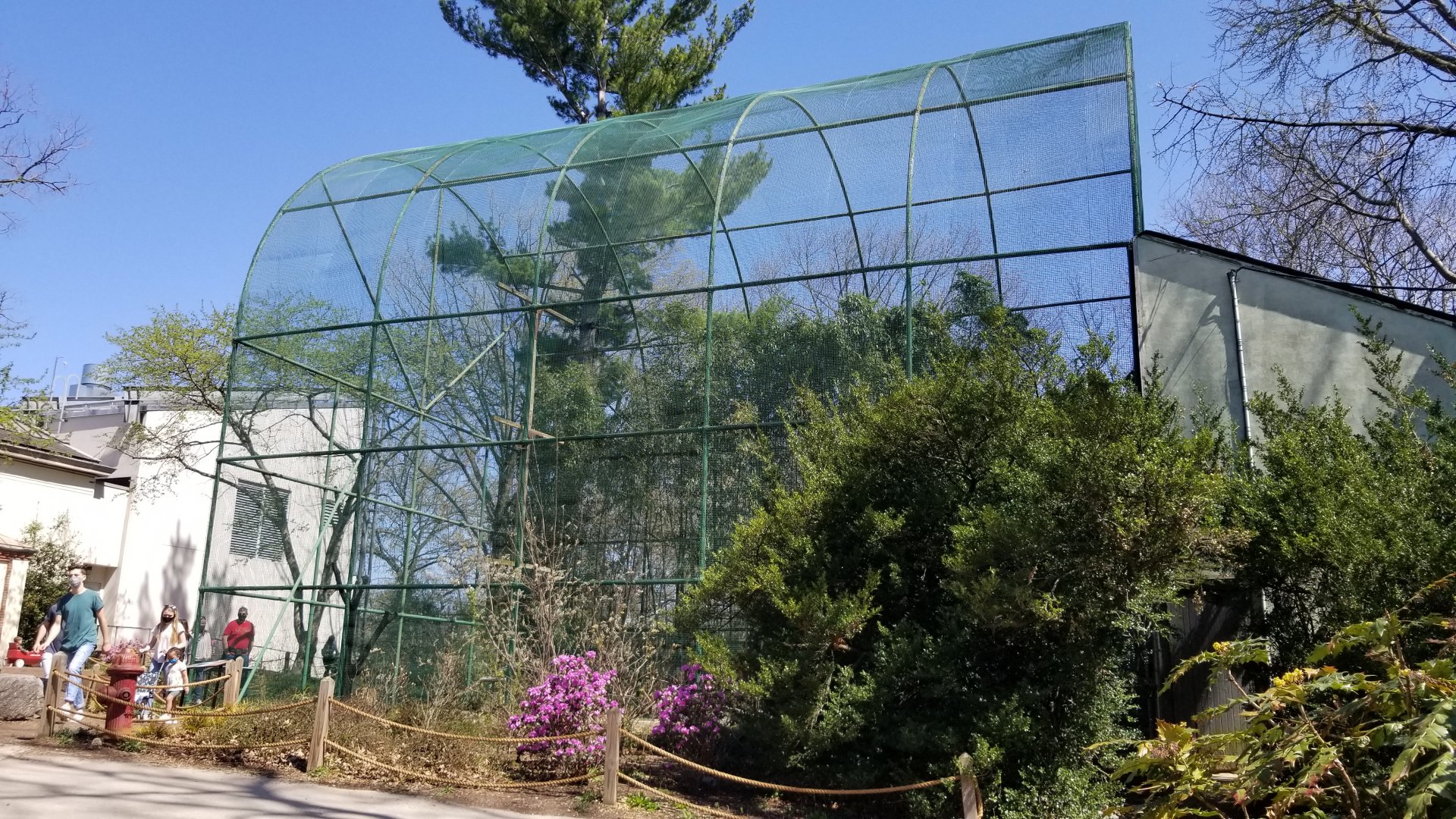 Philly - Flight cage by aviary